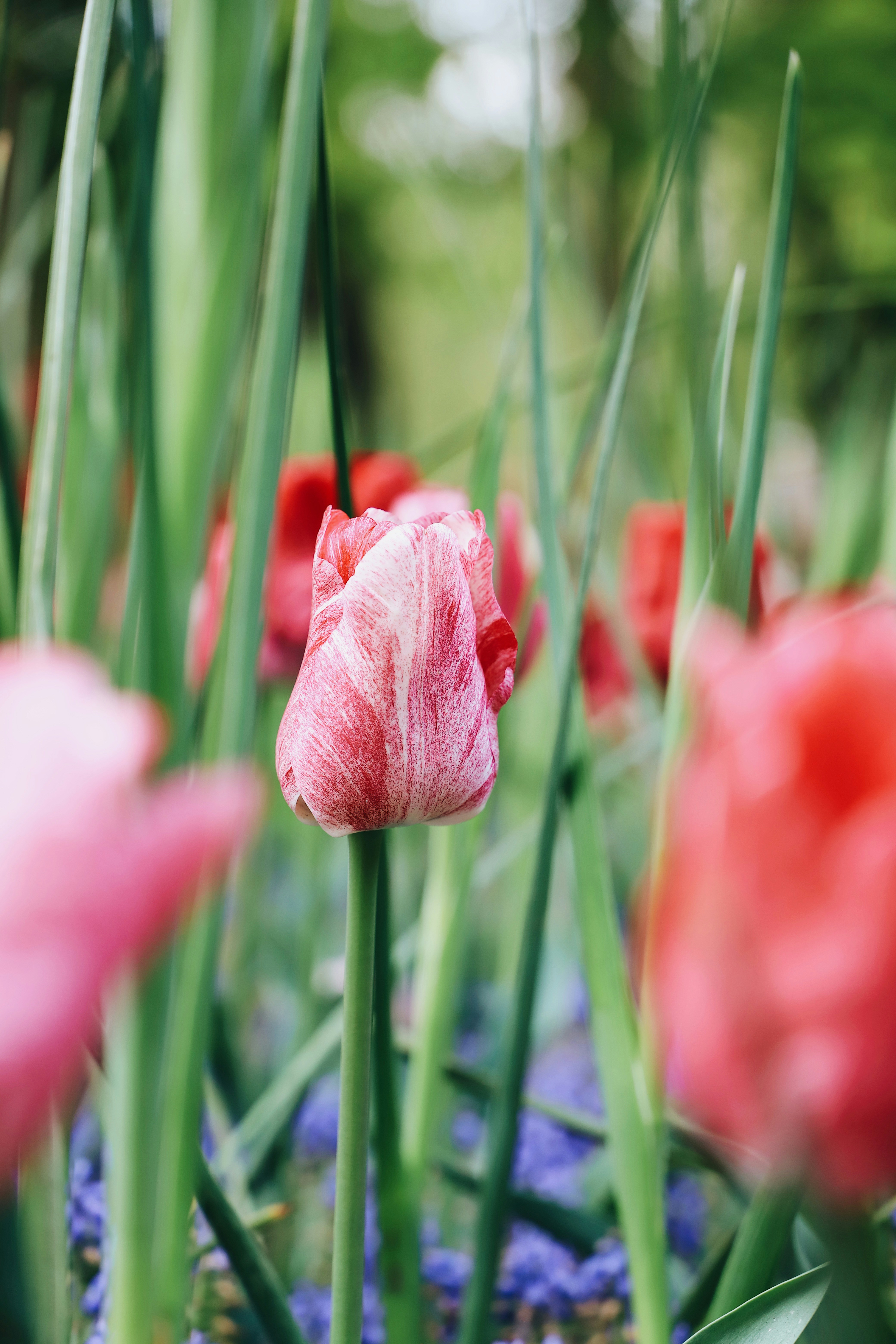 Photo by aliyaamangeldi_photography