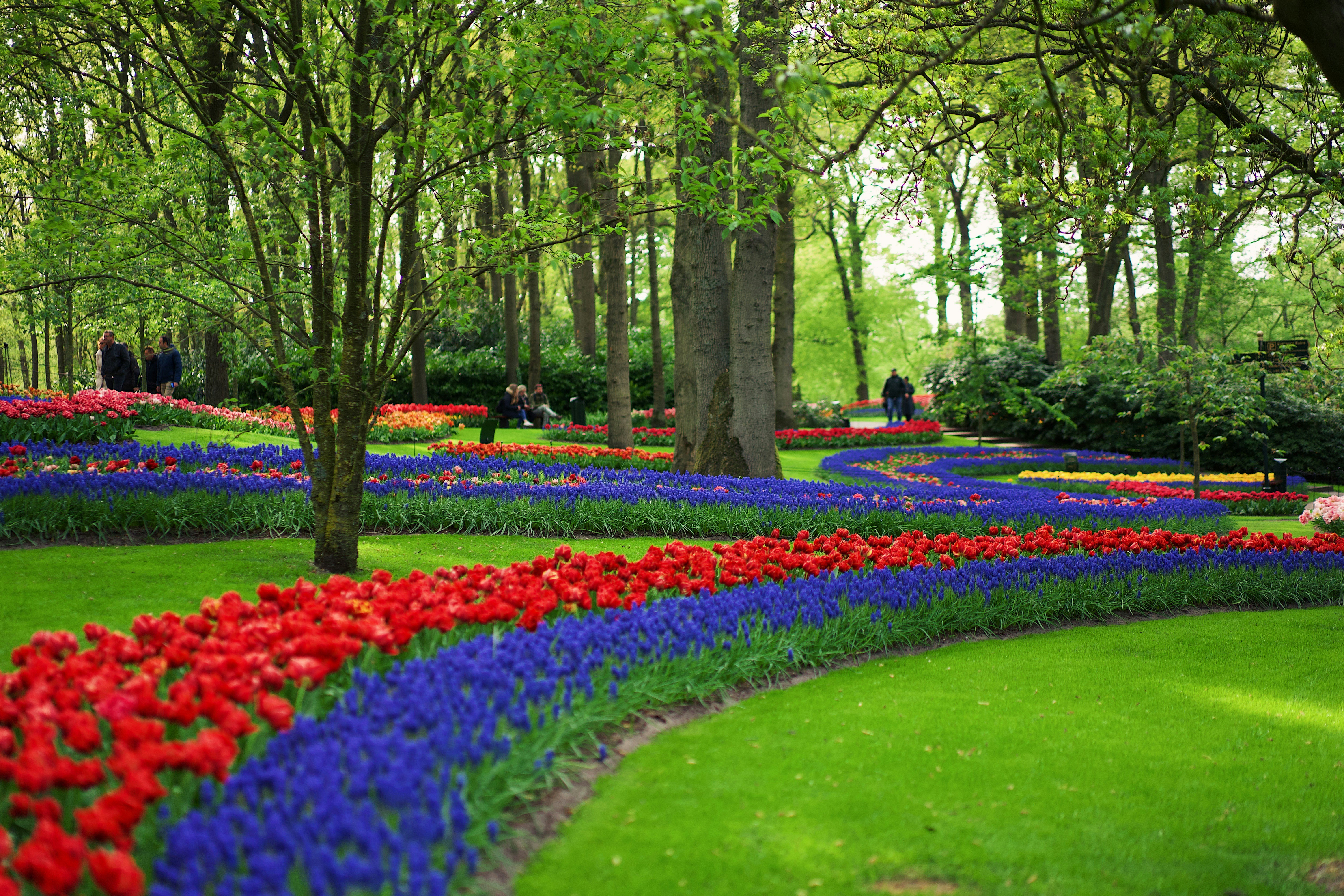 Photo by aliyaamangeldi_photography