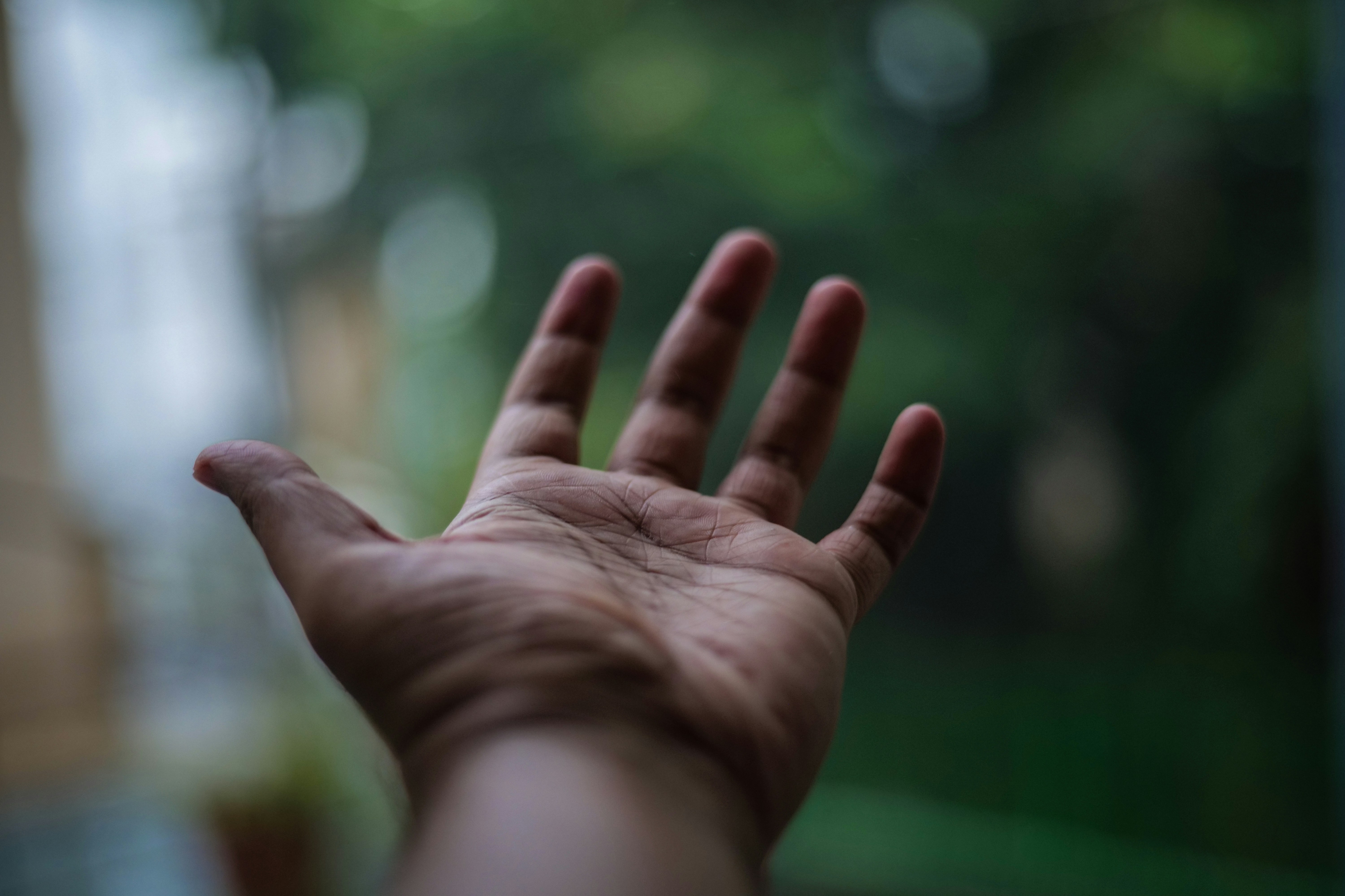 Photo by protonomous