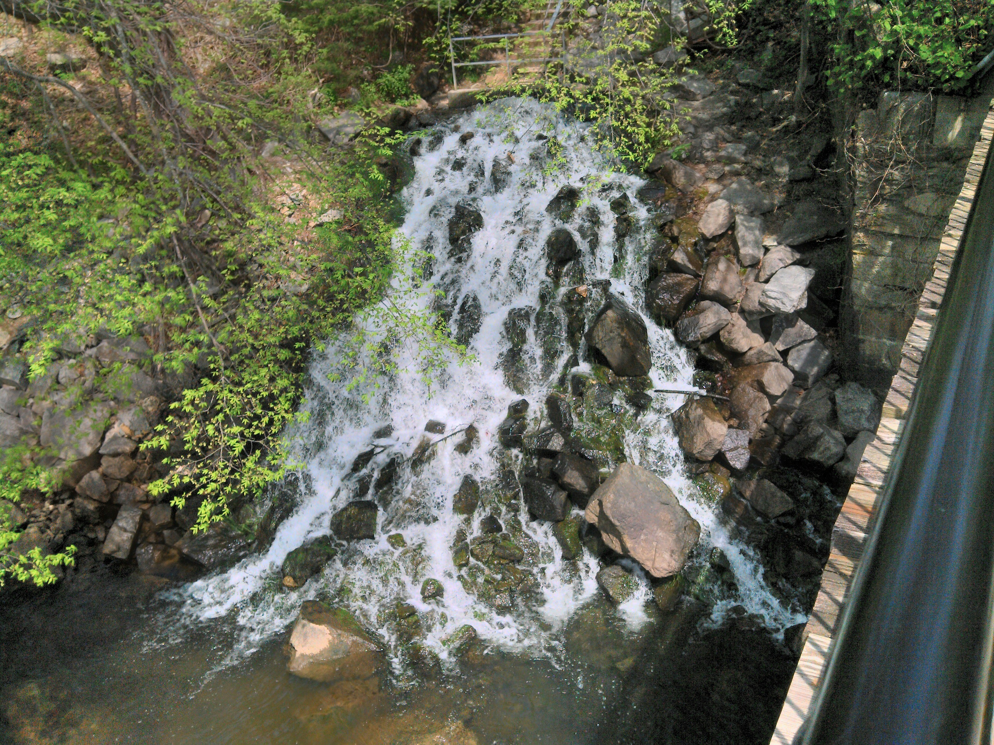 a waterfall with rocks and plants