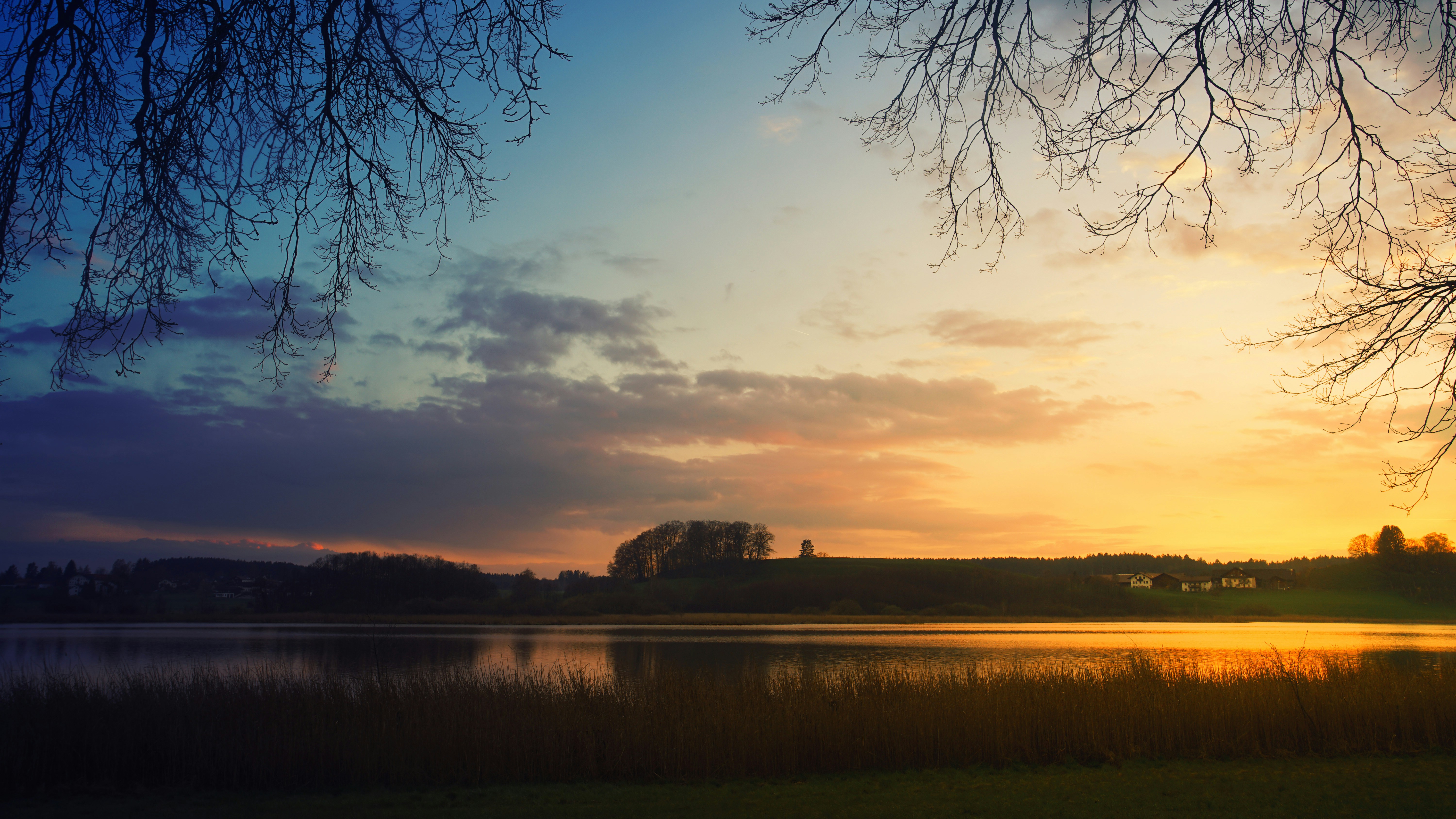 a body of water with grass and trees around it