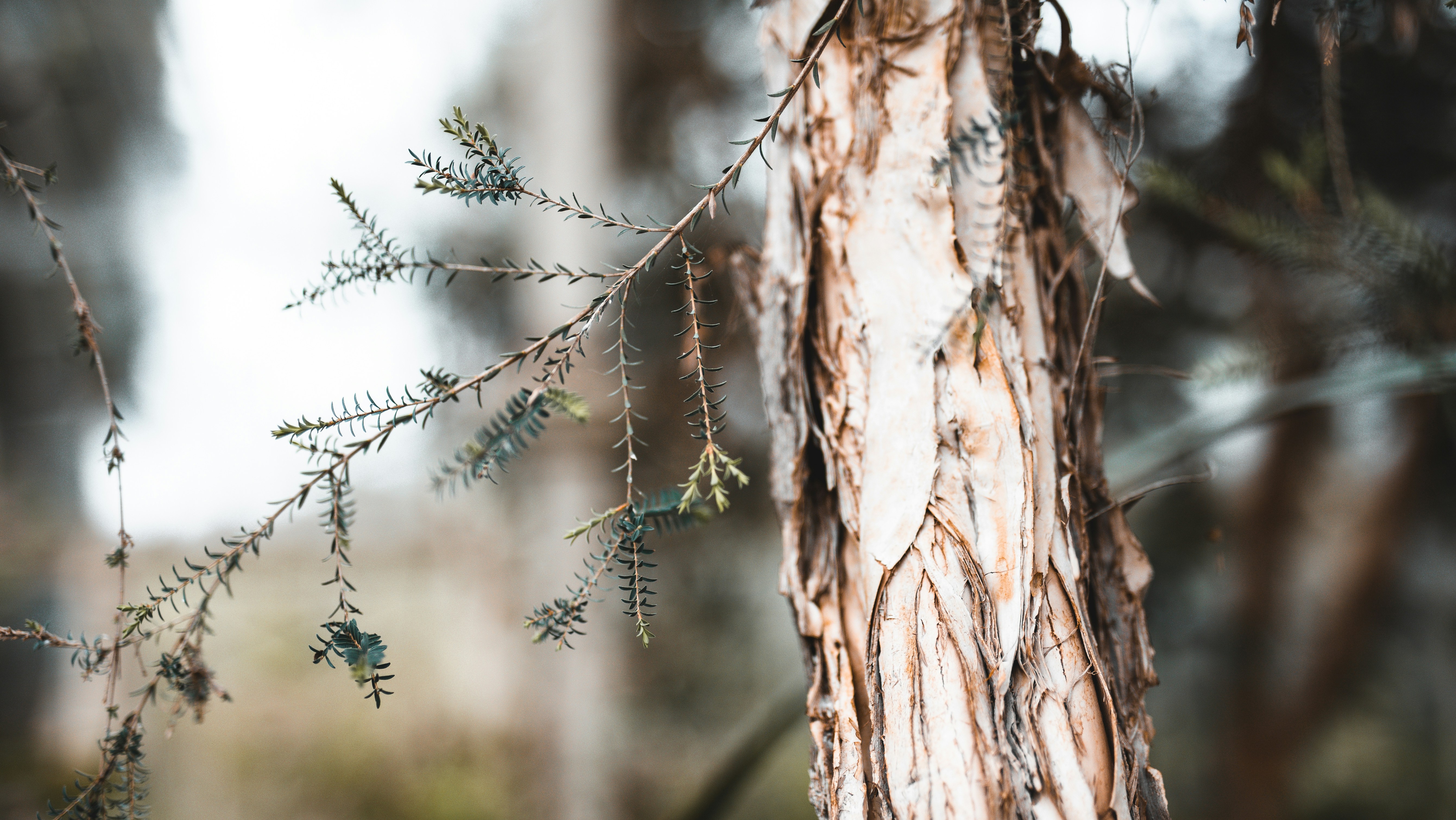 Photo by margauxbebin