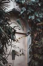 A rustic wooden door with a vintage brass handle, surrounded by green foliage.
