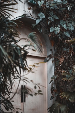 A rustic wooden door with a vintage brass handle, surrounded by green foliage.