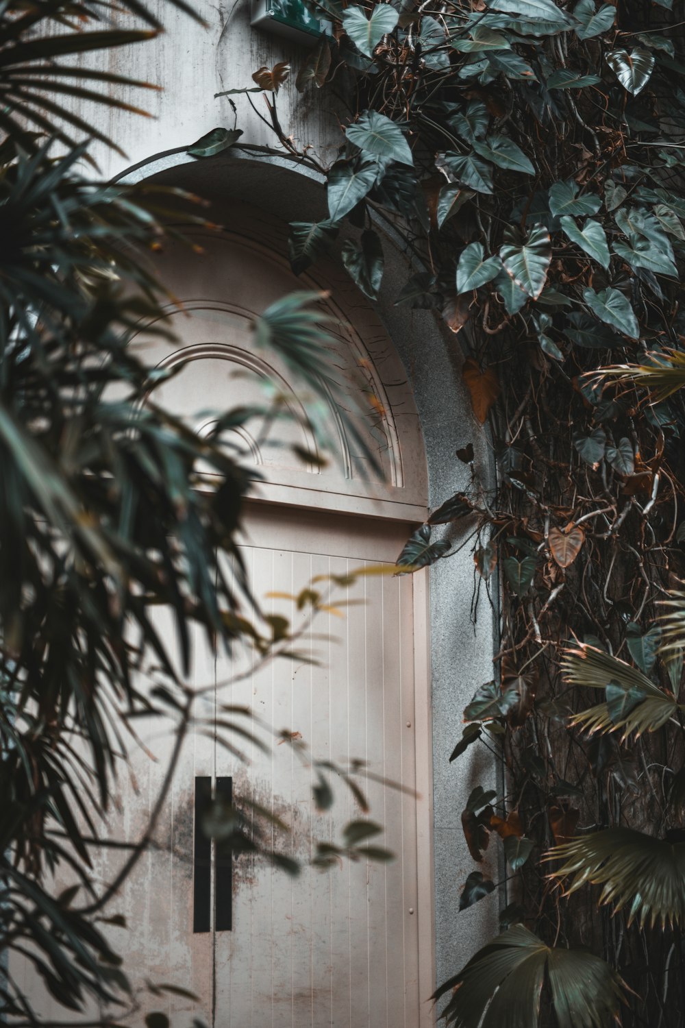 a building with a large arched window