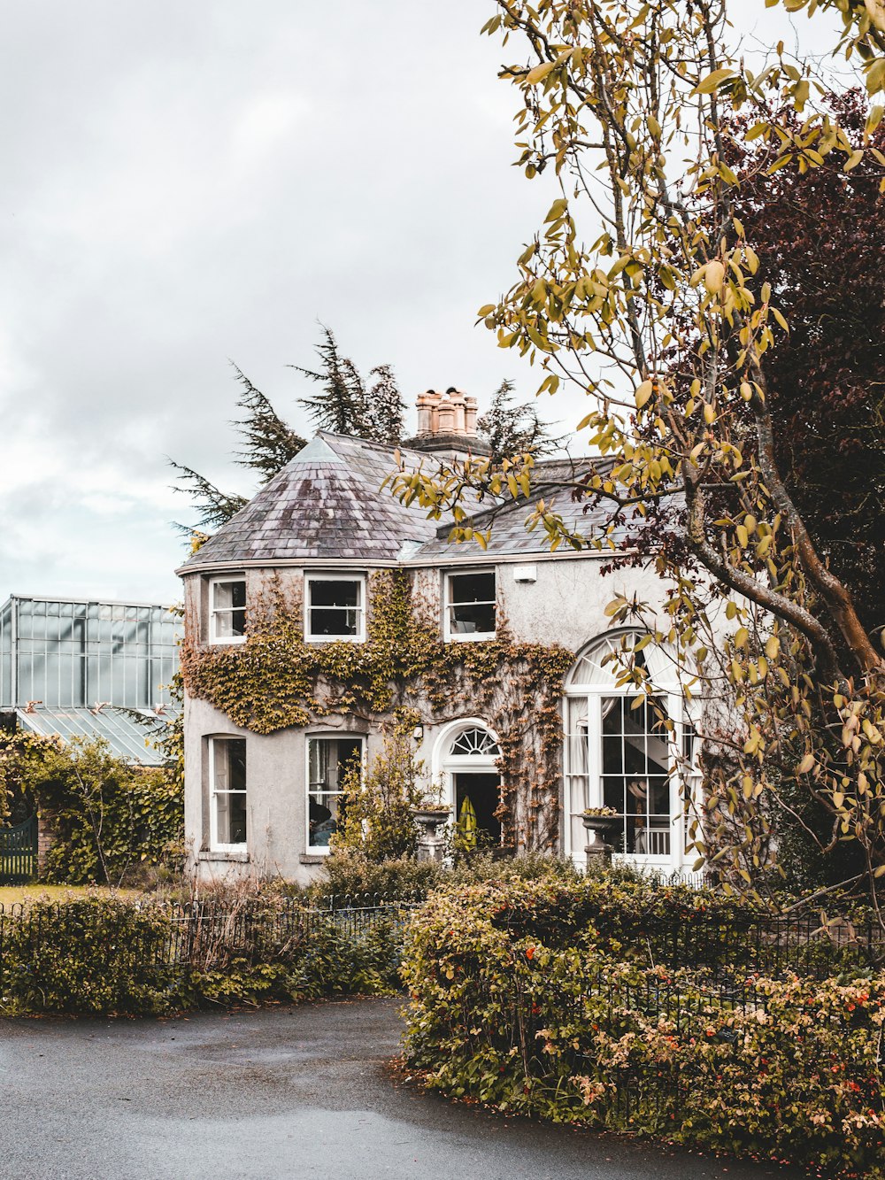 a house with a tree in front of it