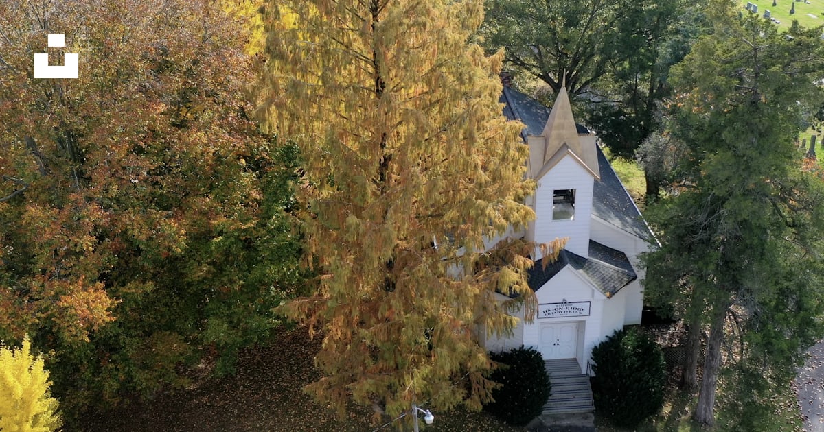 A white building with a steeple surrounded by trees photo Free