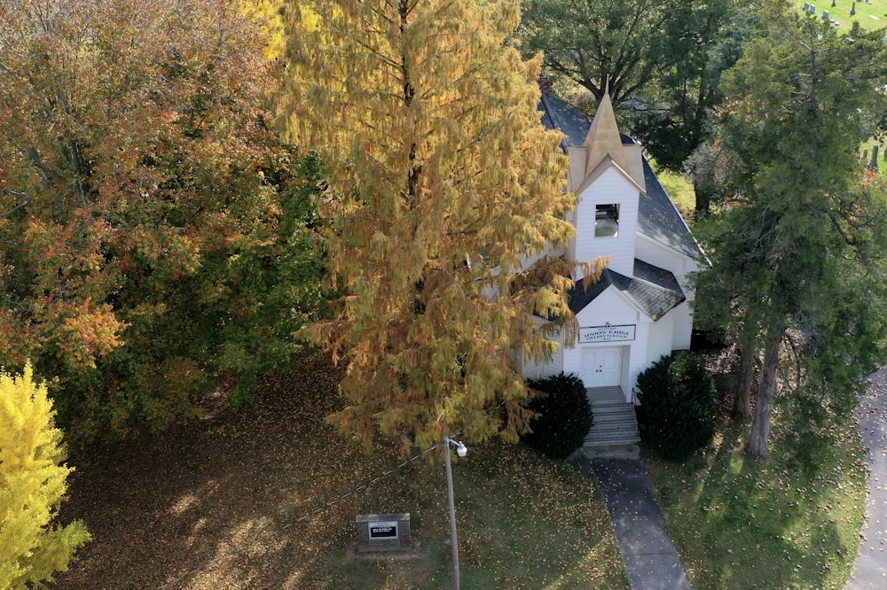 a white building with a steeple surrounded by trees