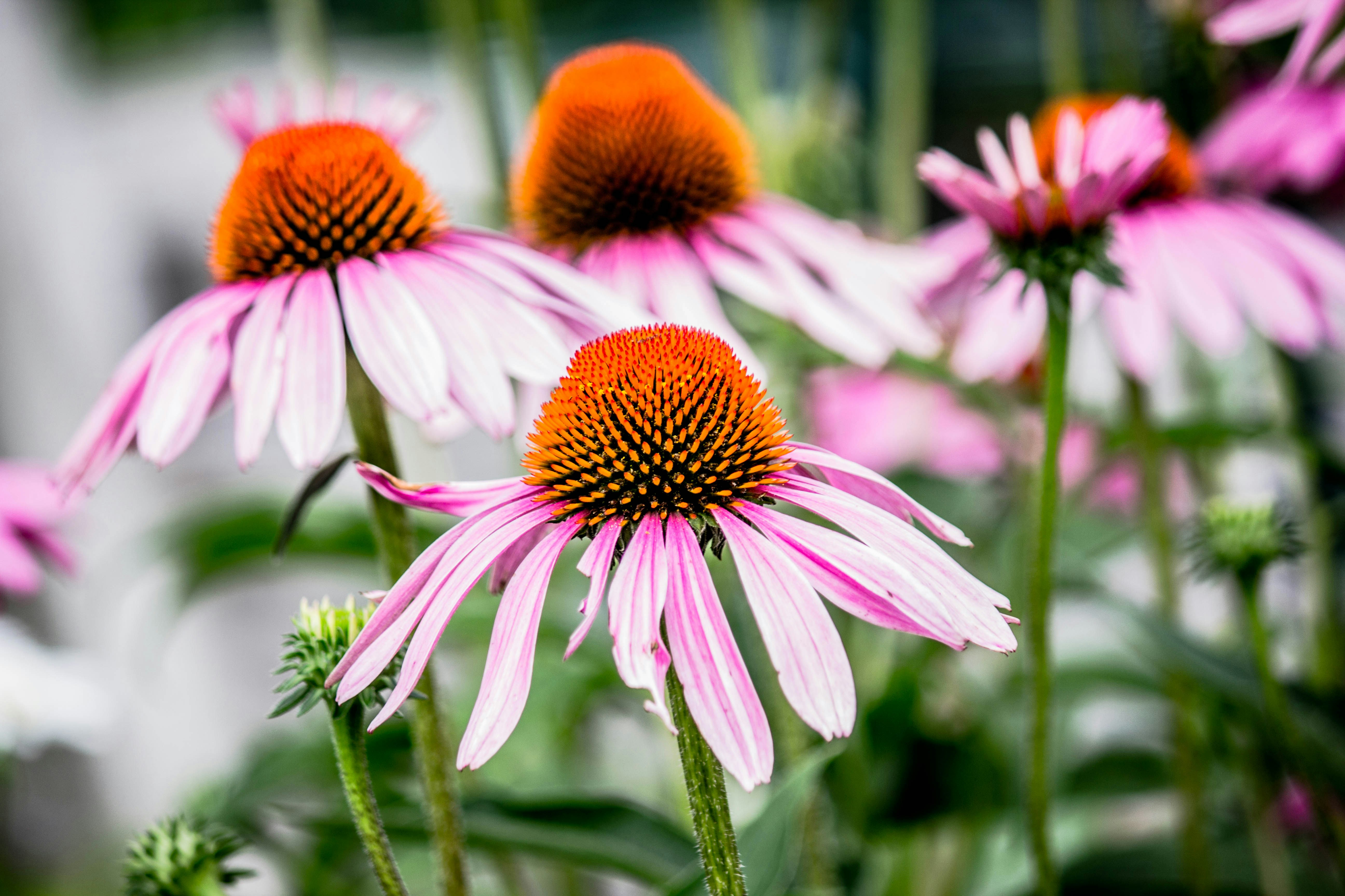 Photo by dieresisagency