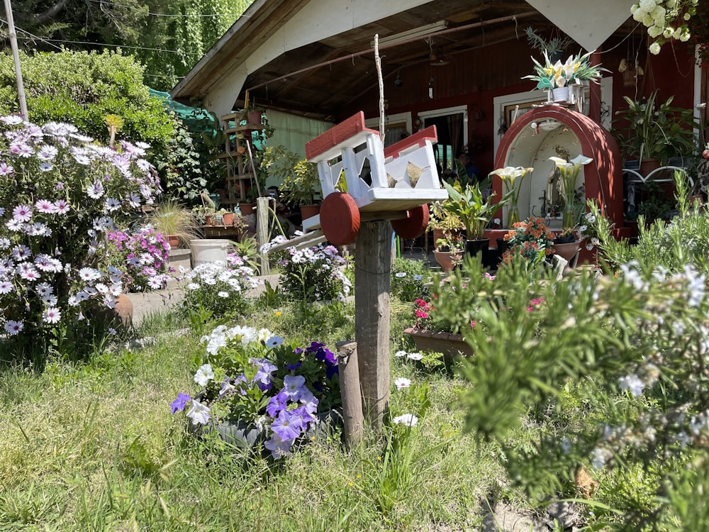 a garden with flowers