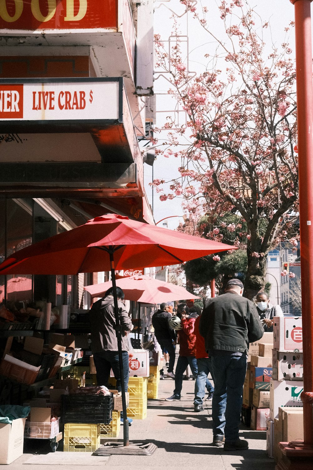 people walking under umbrellas