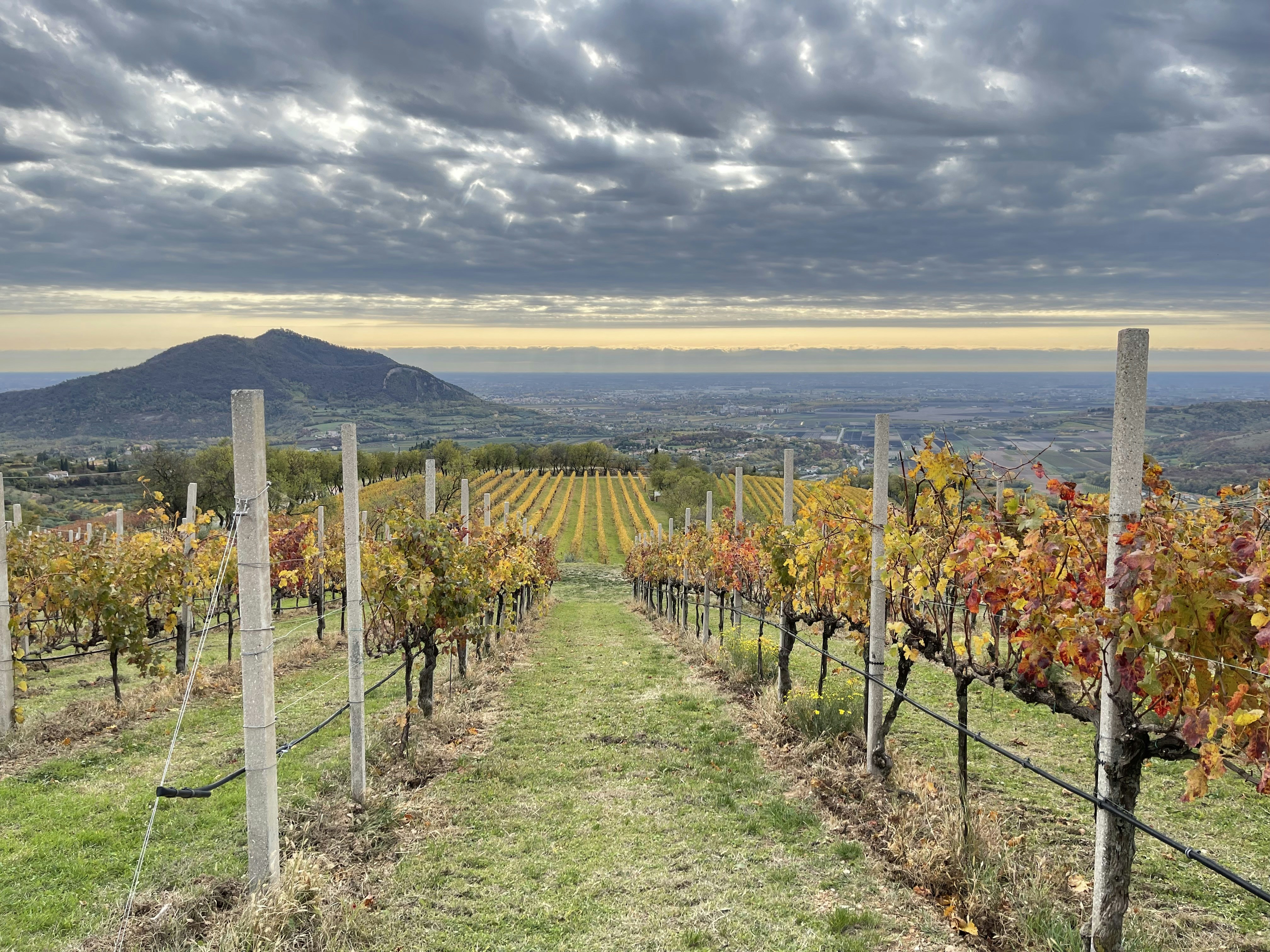 Photo by v_h_knologe