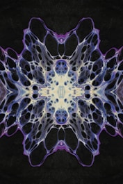 a close up of a sea creature