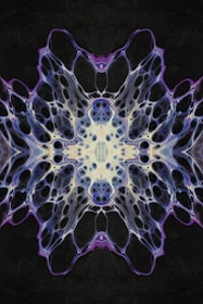 a close up of a sea creature