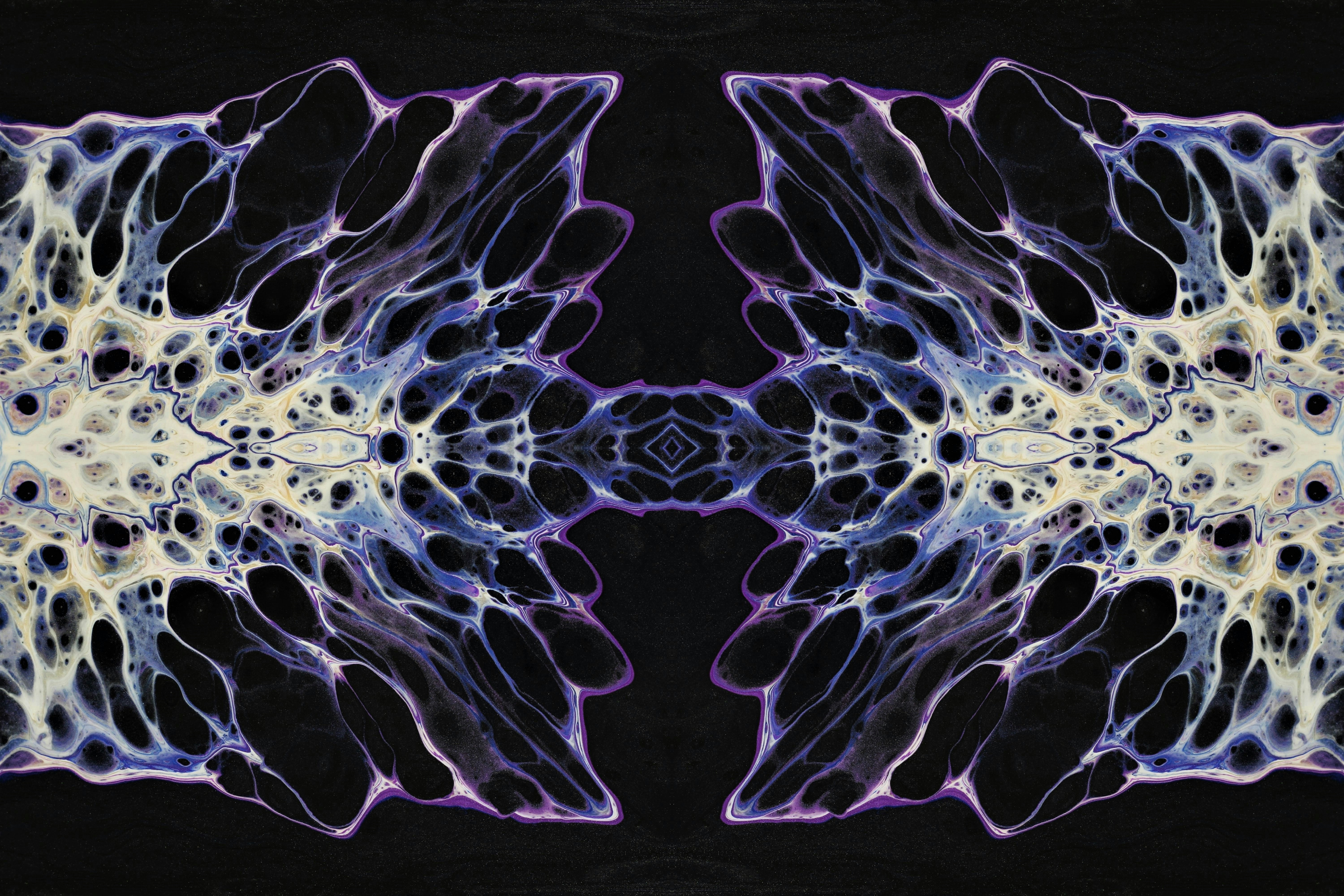 a close up of a purple and white sea creature