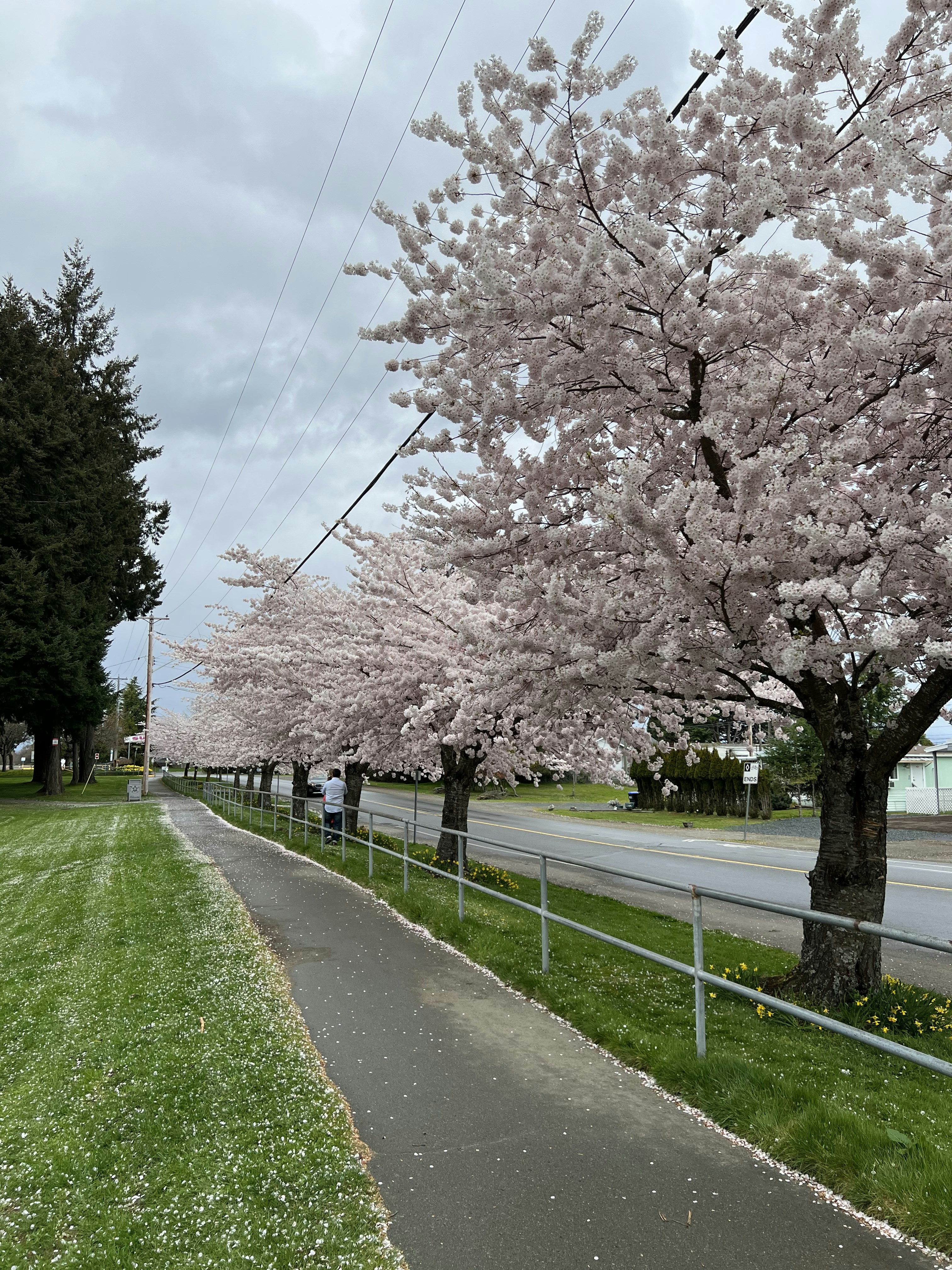 Photo by henriquepaim