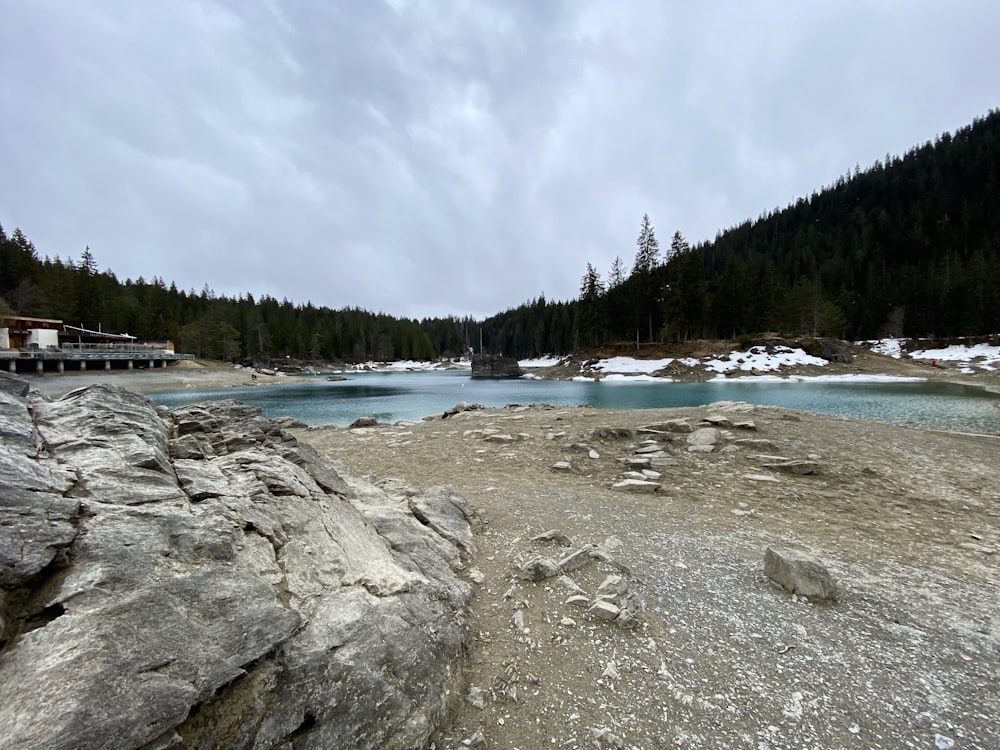 a rocky beach with a pier and trees in the background