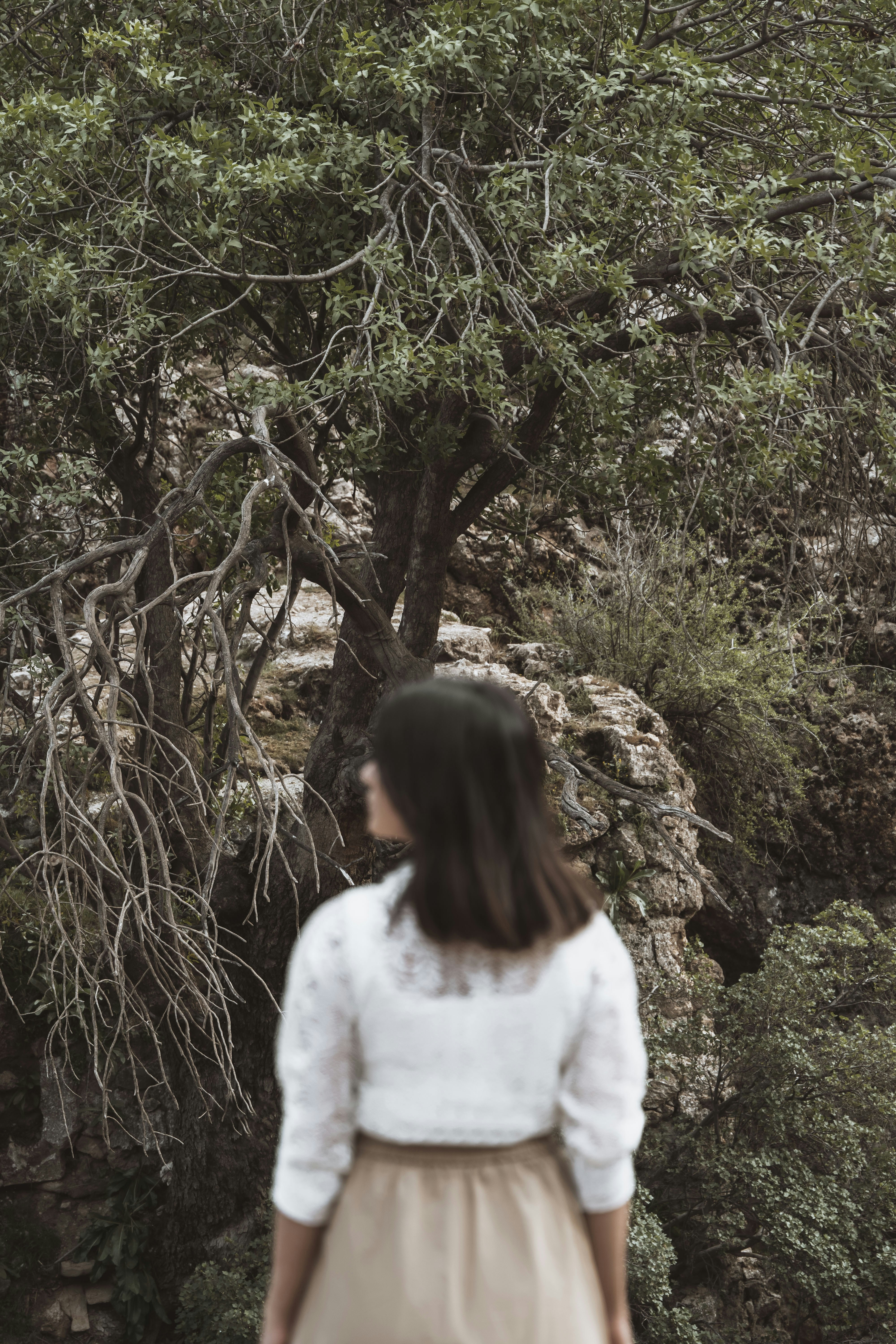 Photo by alikarimibn