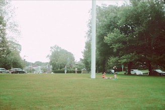 A grassy field is bordered by tall trees and a few parked cars. Several people are scattered across the grass, some standing and others sitting on the ground near a large pole. The background features small buildings and a few trees, suggesting a park or public area.