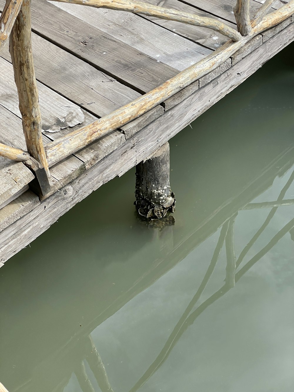 a log in the water
