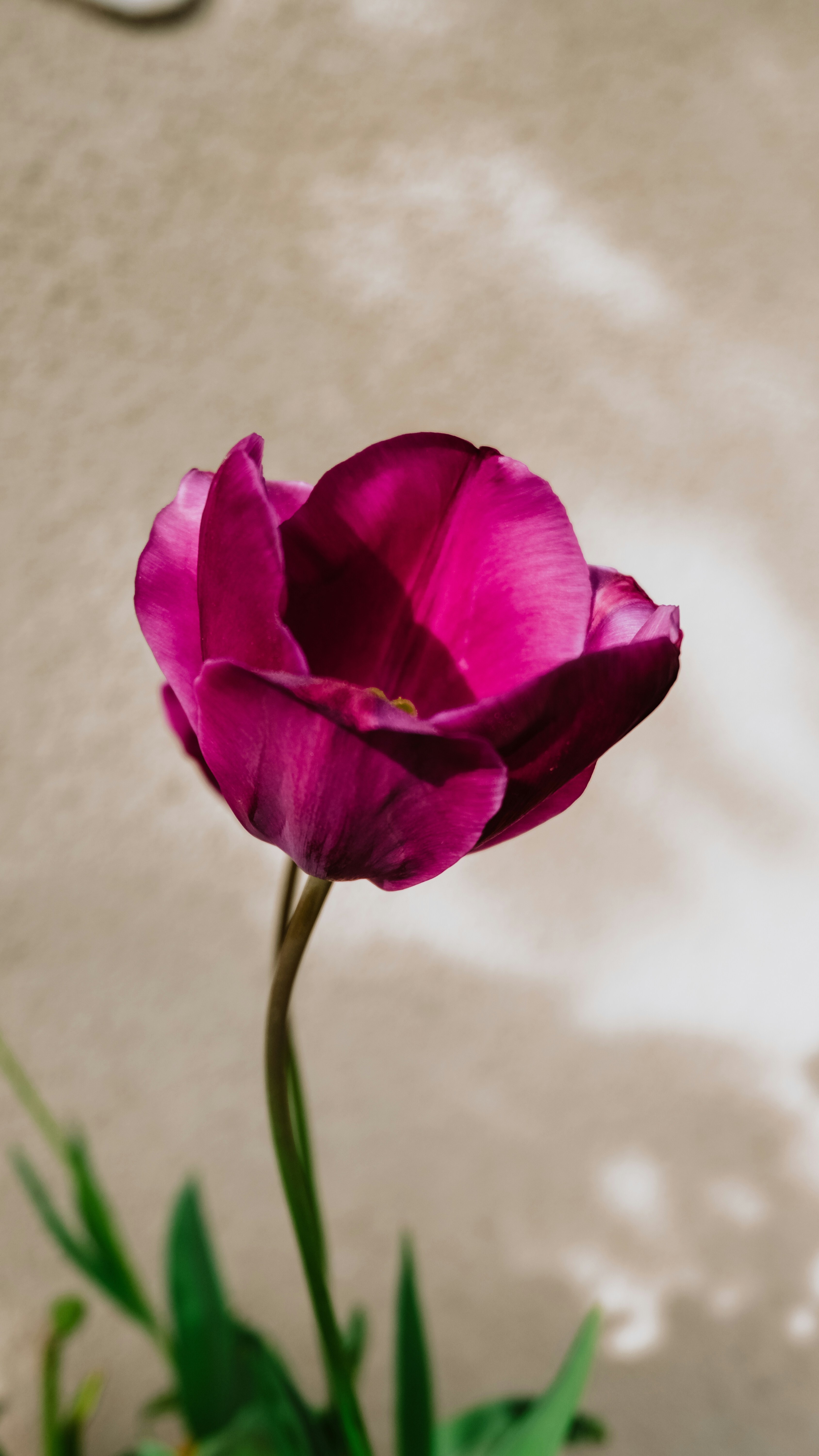 Photo by serhaterdogan