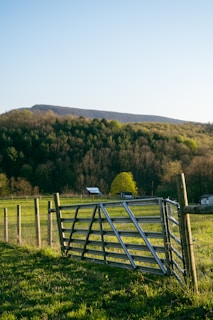 a fence in a field