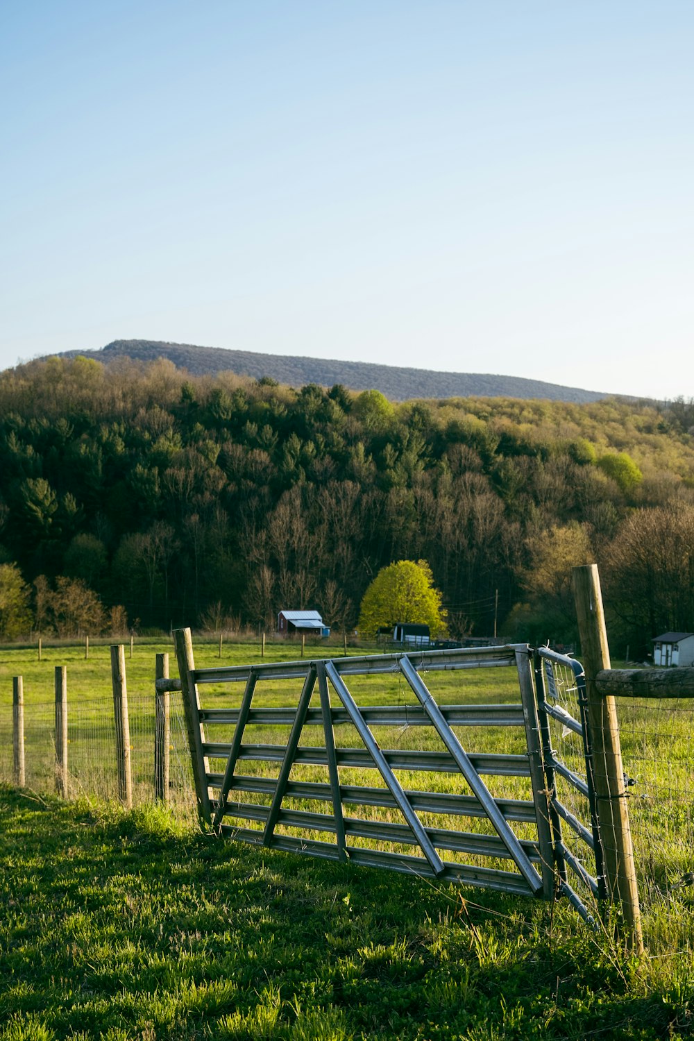 a fence in a field