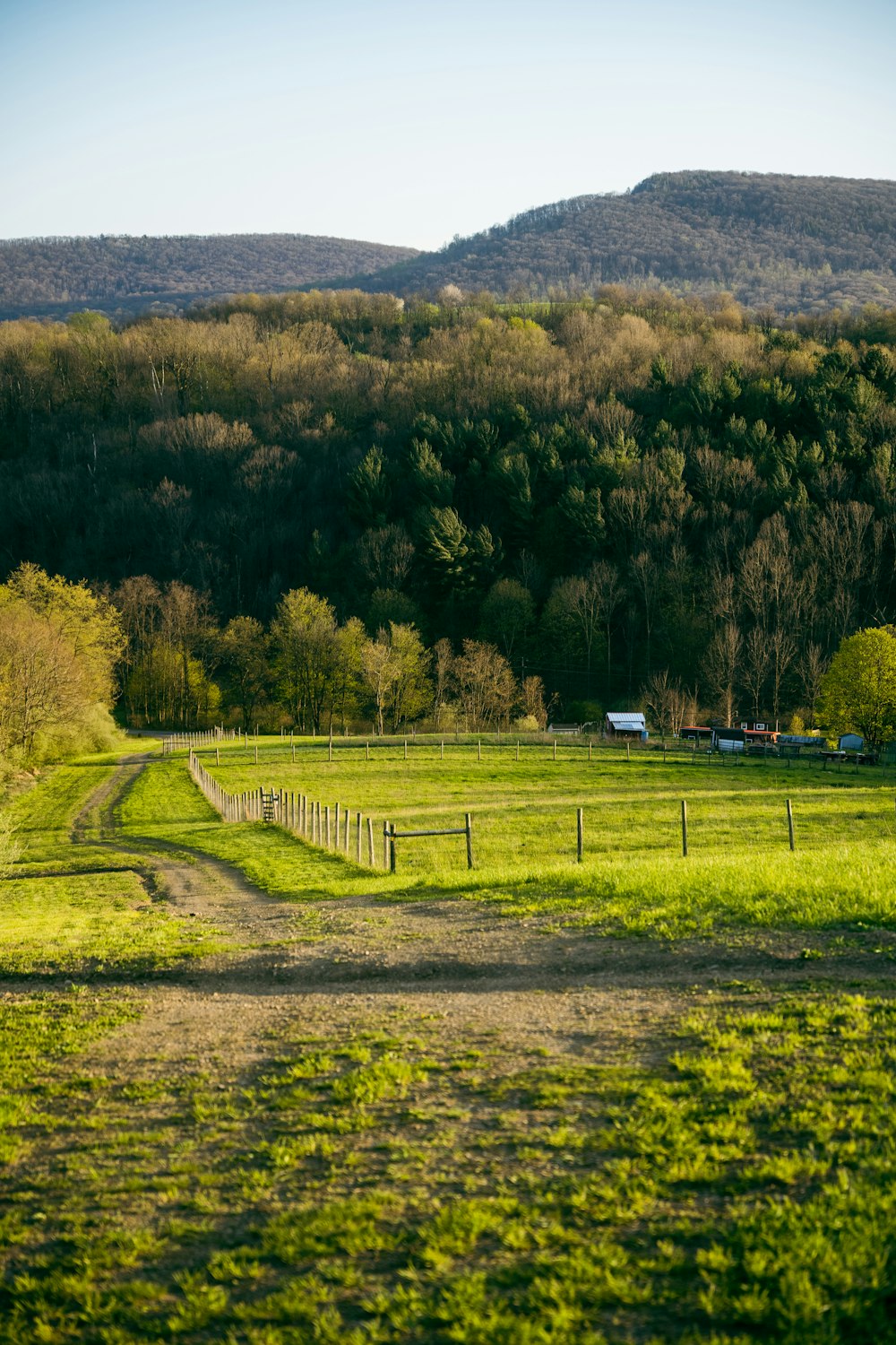 a field with a fence and trees in the background