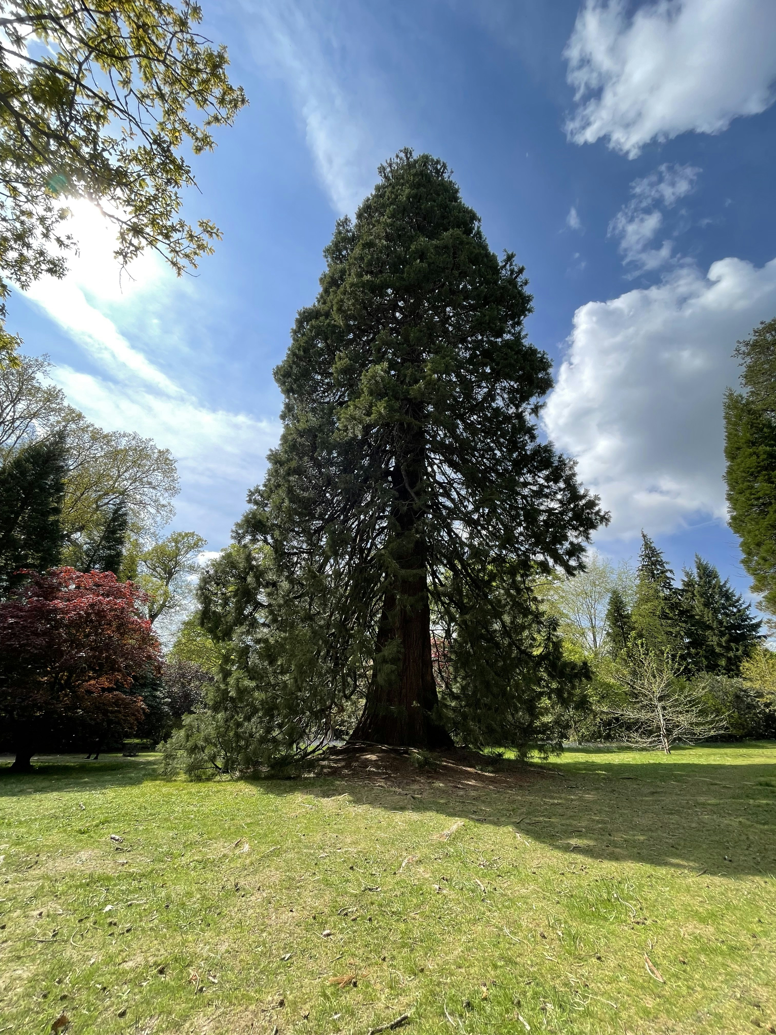 Photo by accesspritam