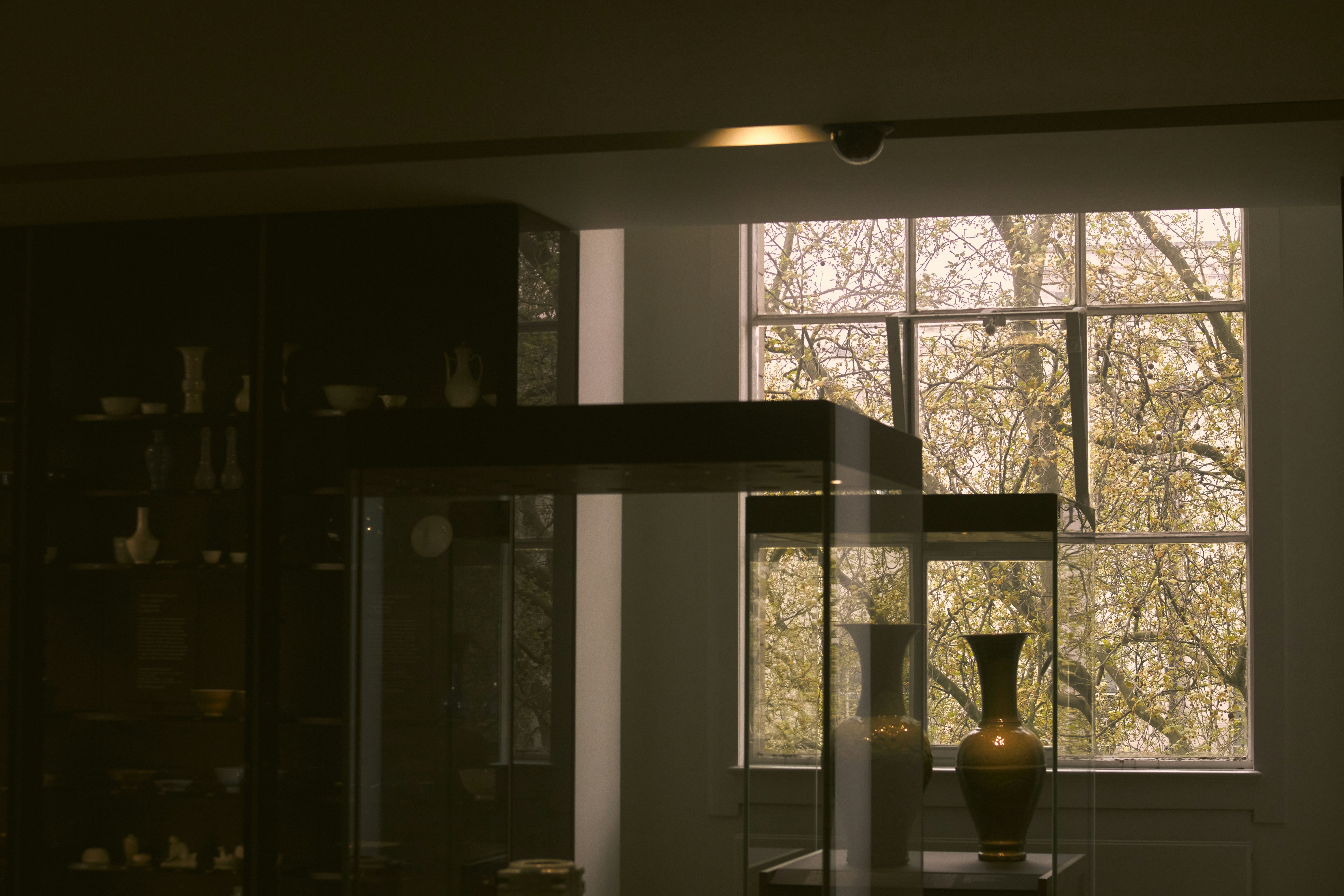 Photo by romanakash27