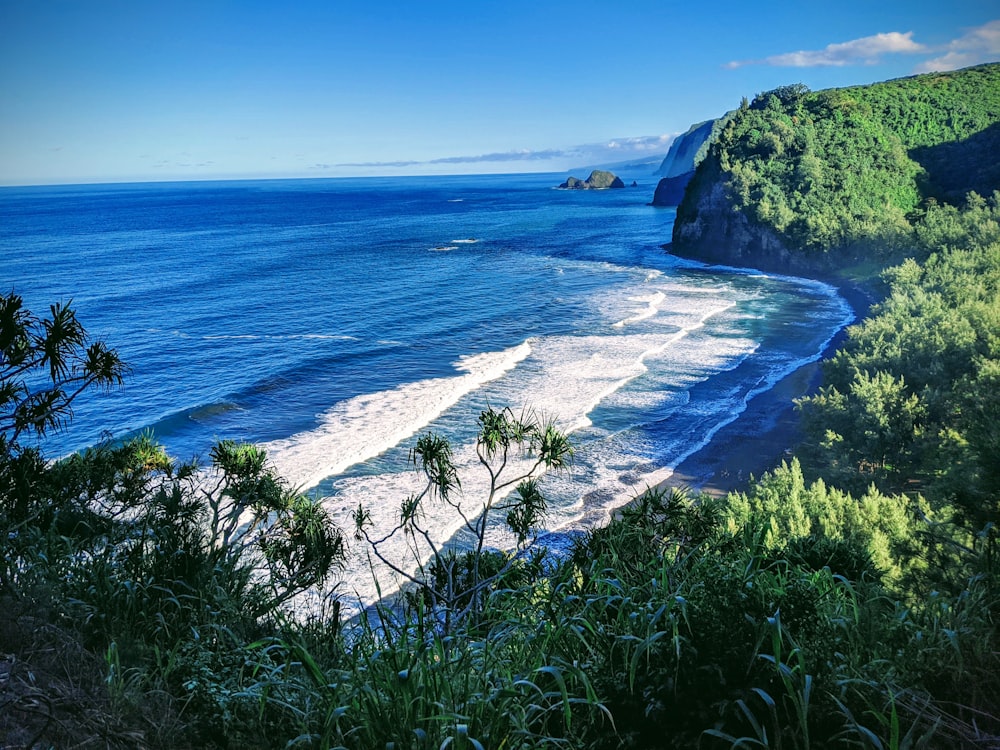 Una playa con agua azul