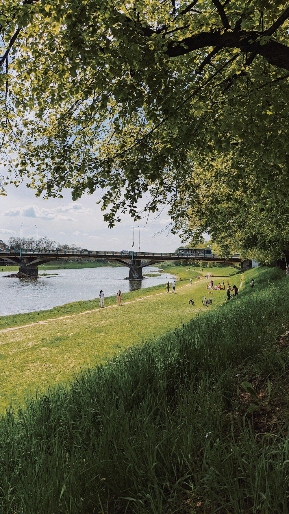 a group of people walking on a path by a river