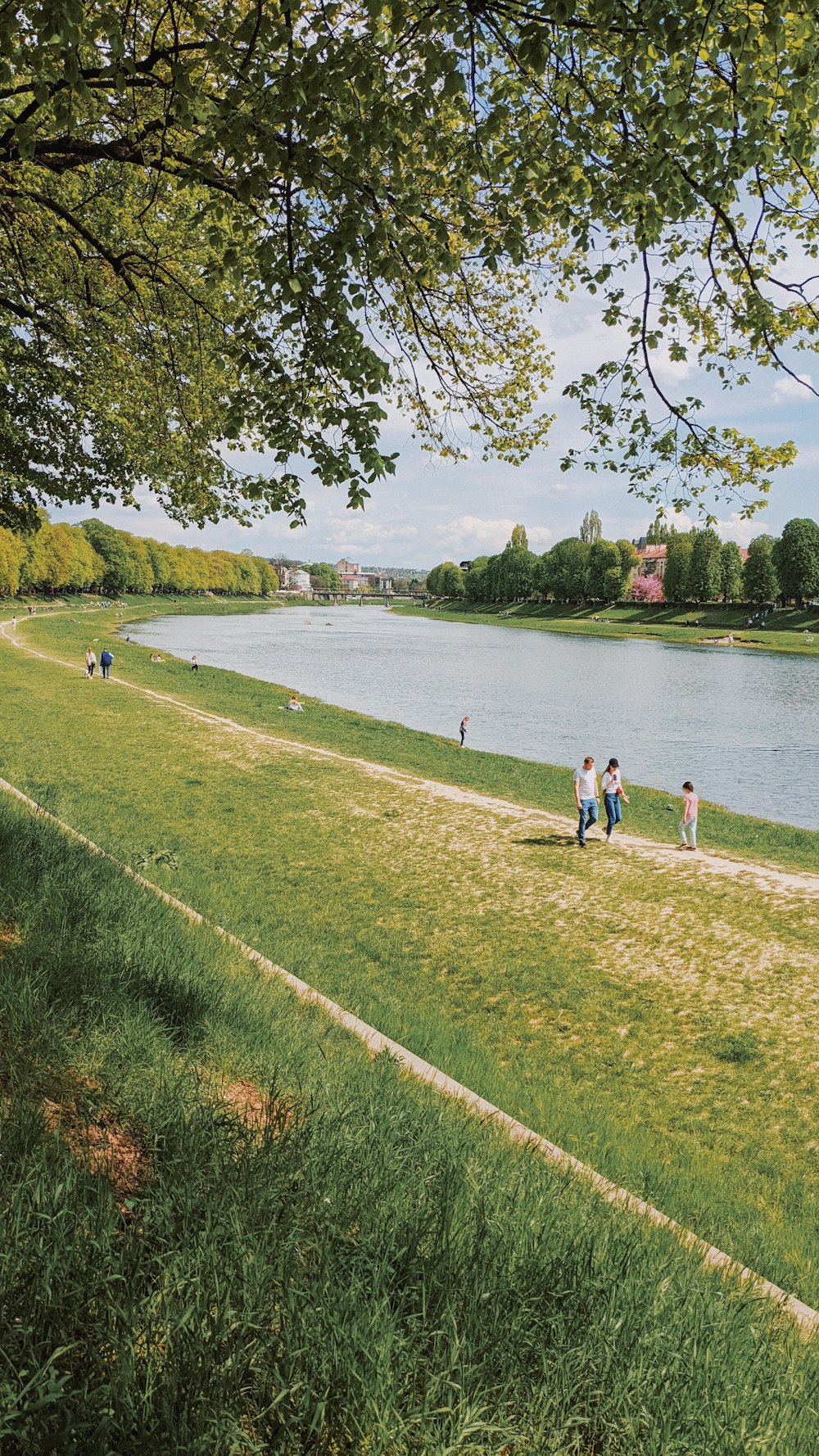 people walking on a path by a river