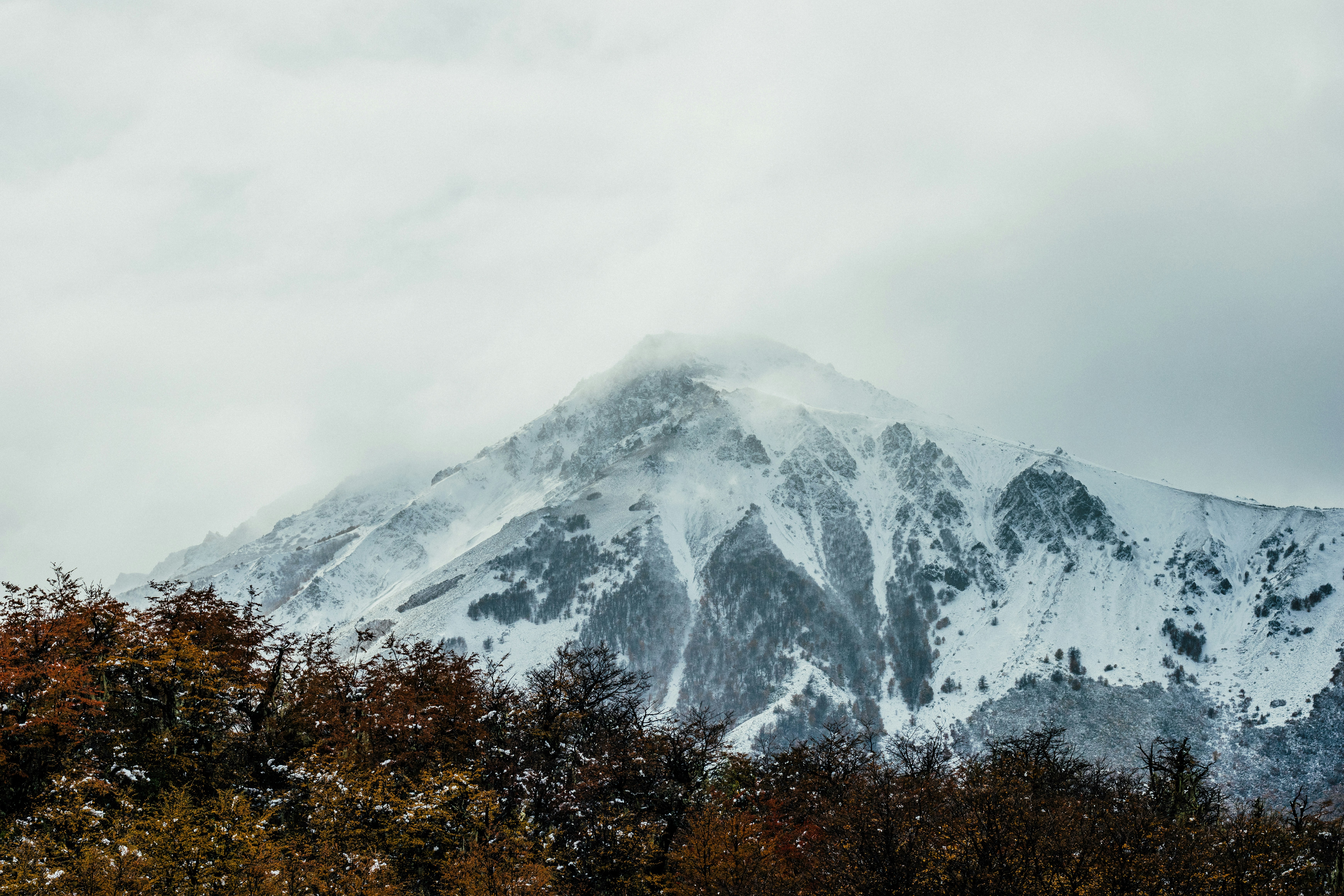 Photo by ggiqueaux