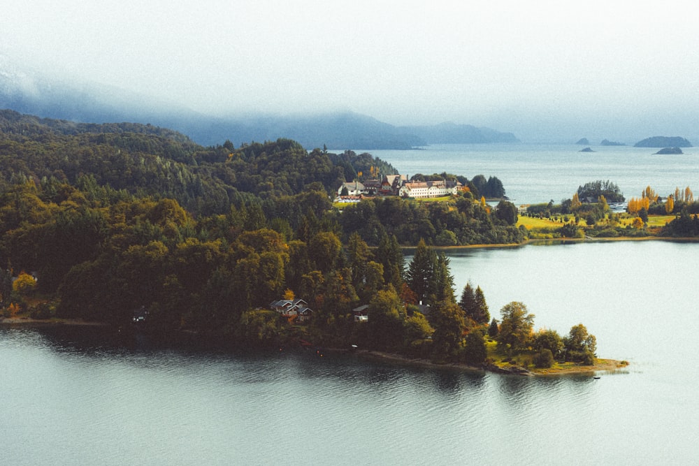 a lake with trees and buildings