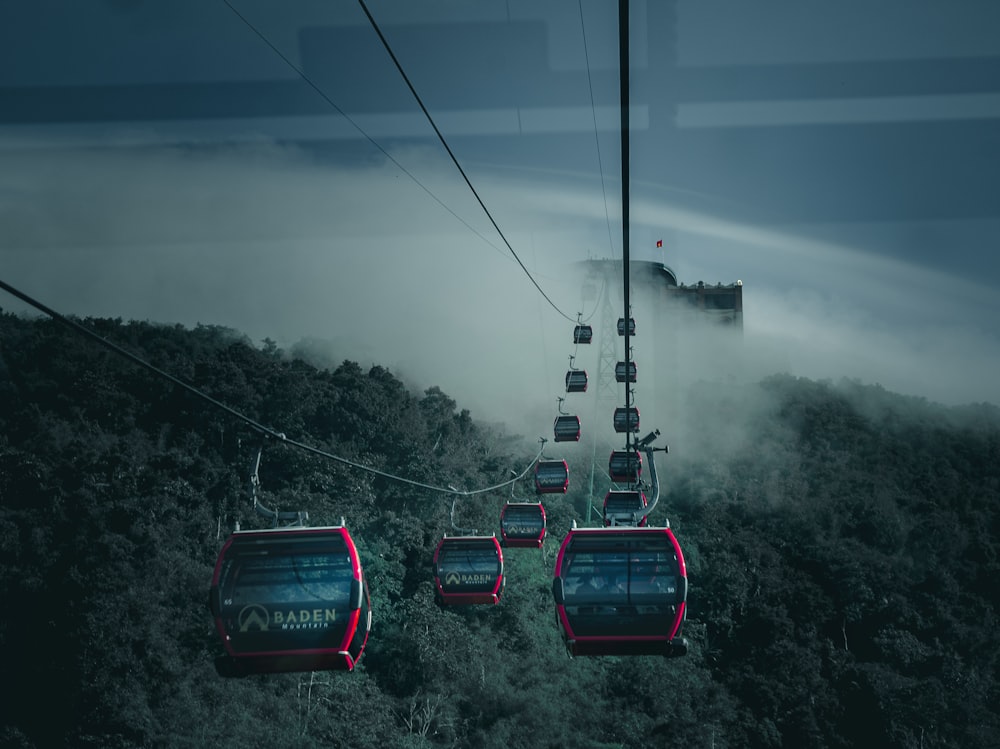 a group of cars on a cable car above a forest