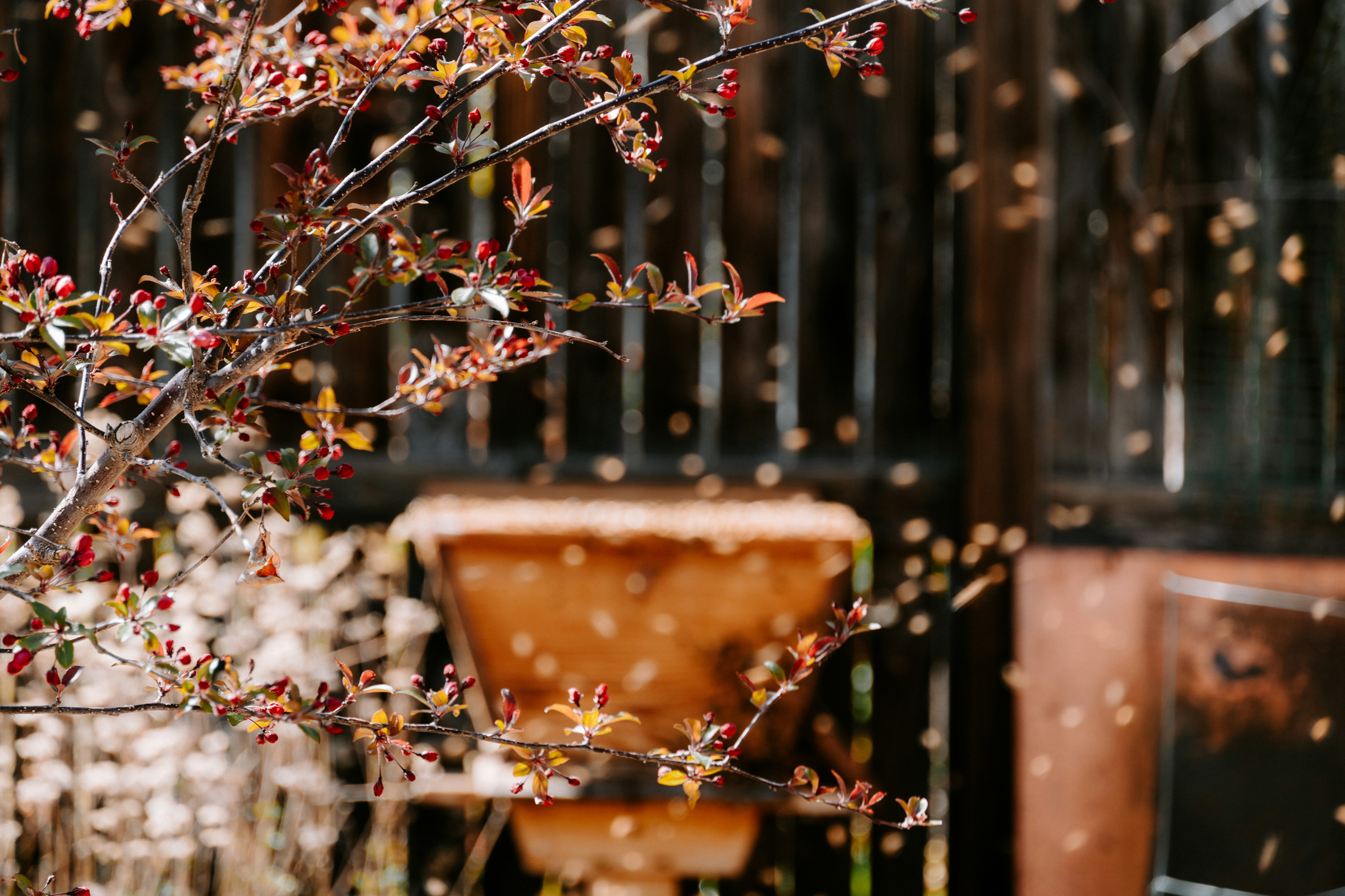 Photo by jaspergribble