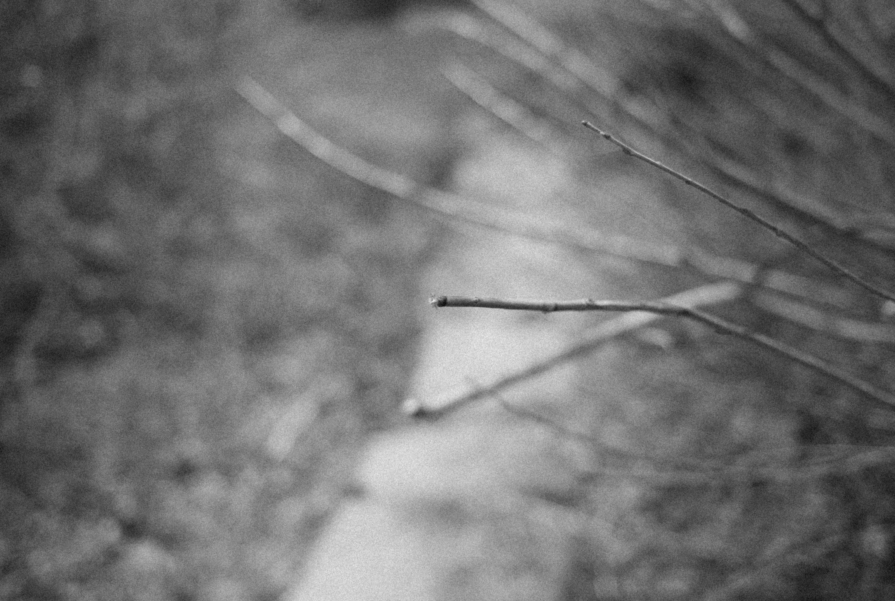 Photo by alexeydemidov