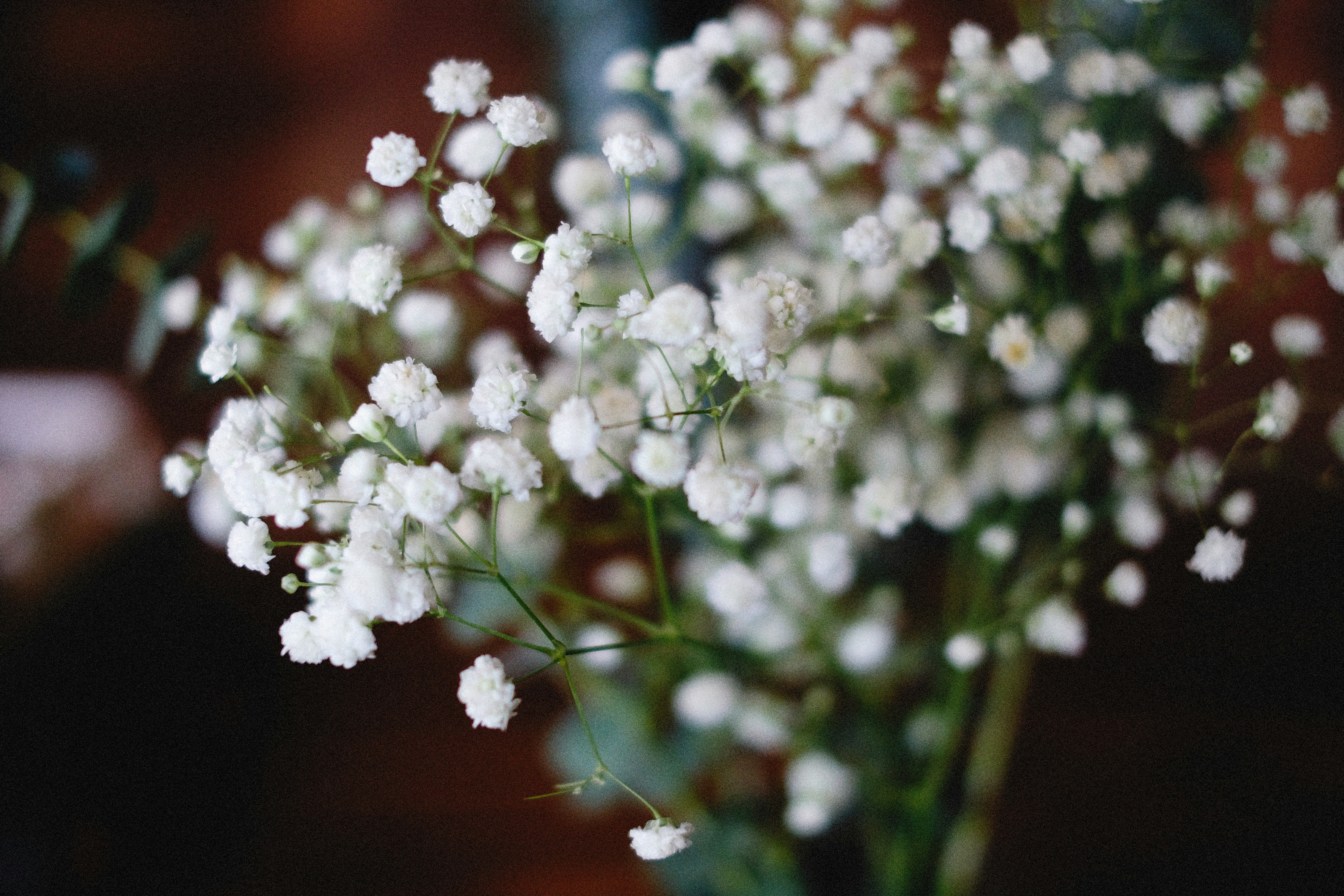 Photo by alexeydemidov