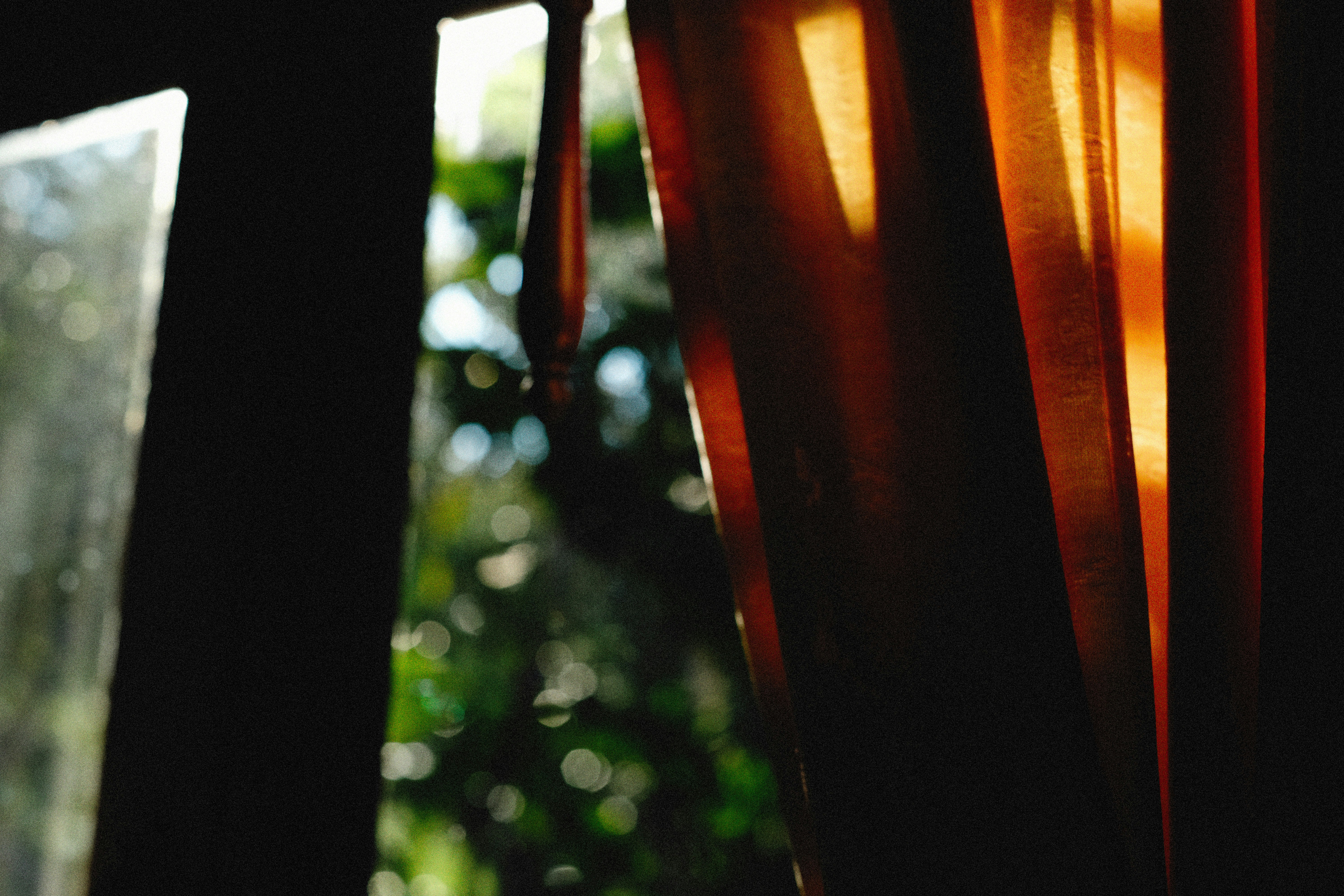 Photo by alexeydemidov