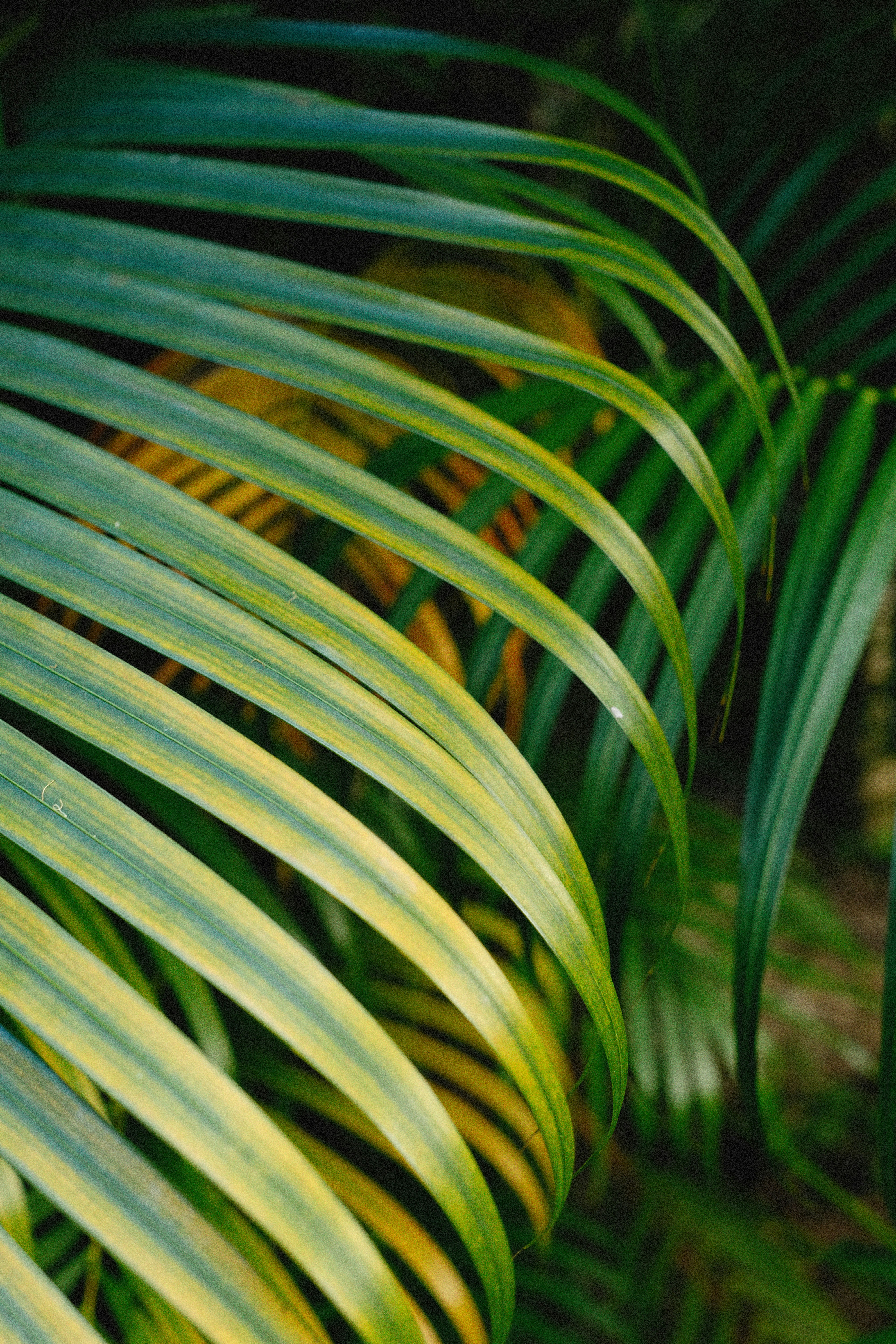 Photo by alexeydemidov