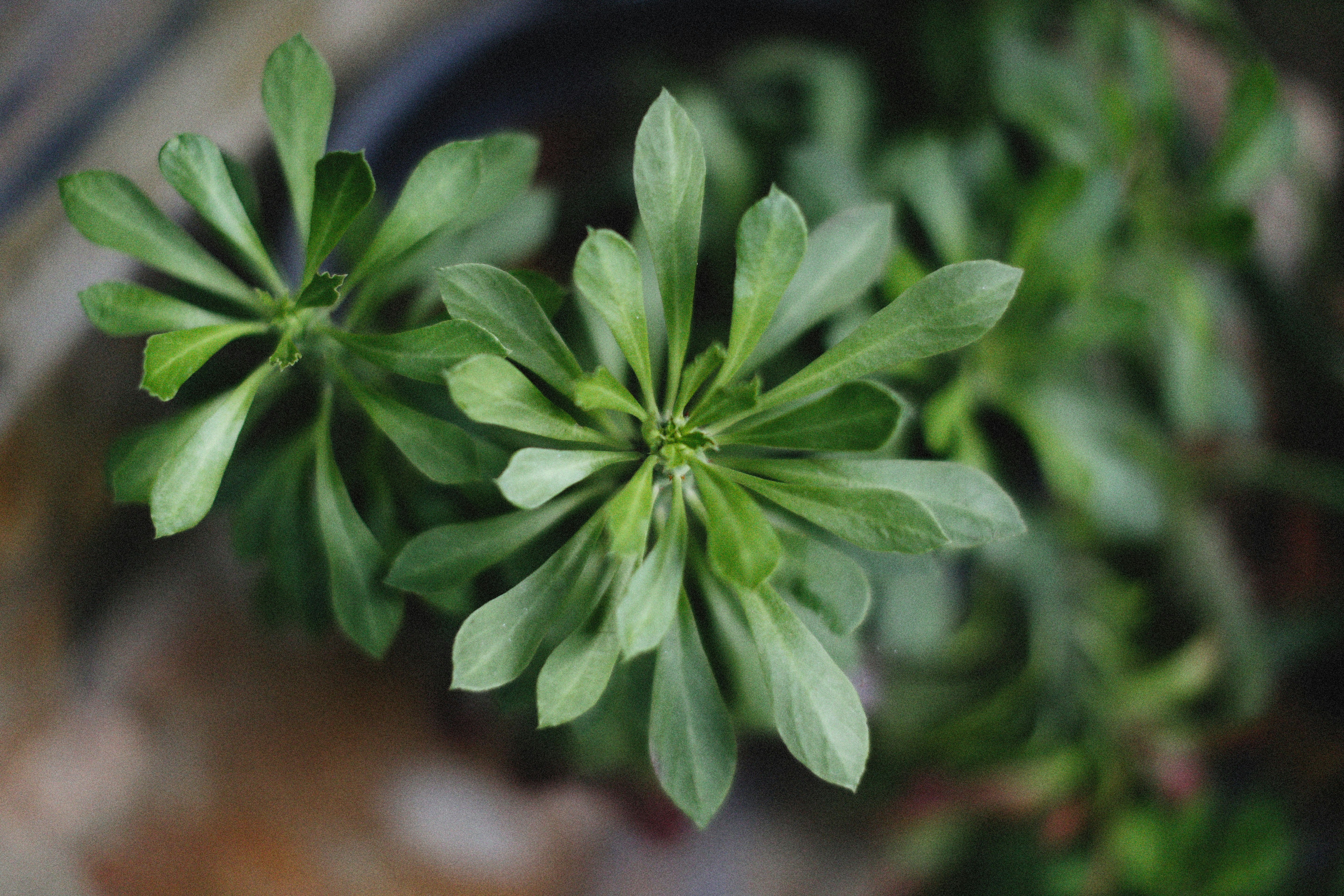 Photo by alexeydemidov