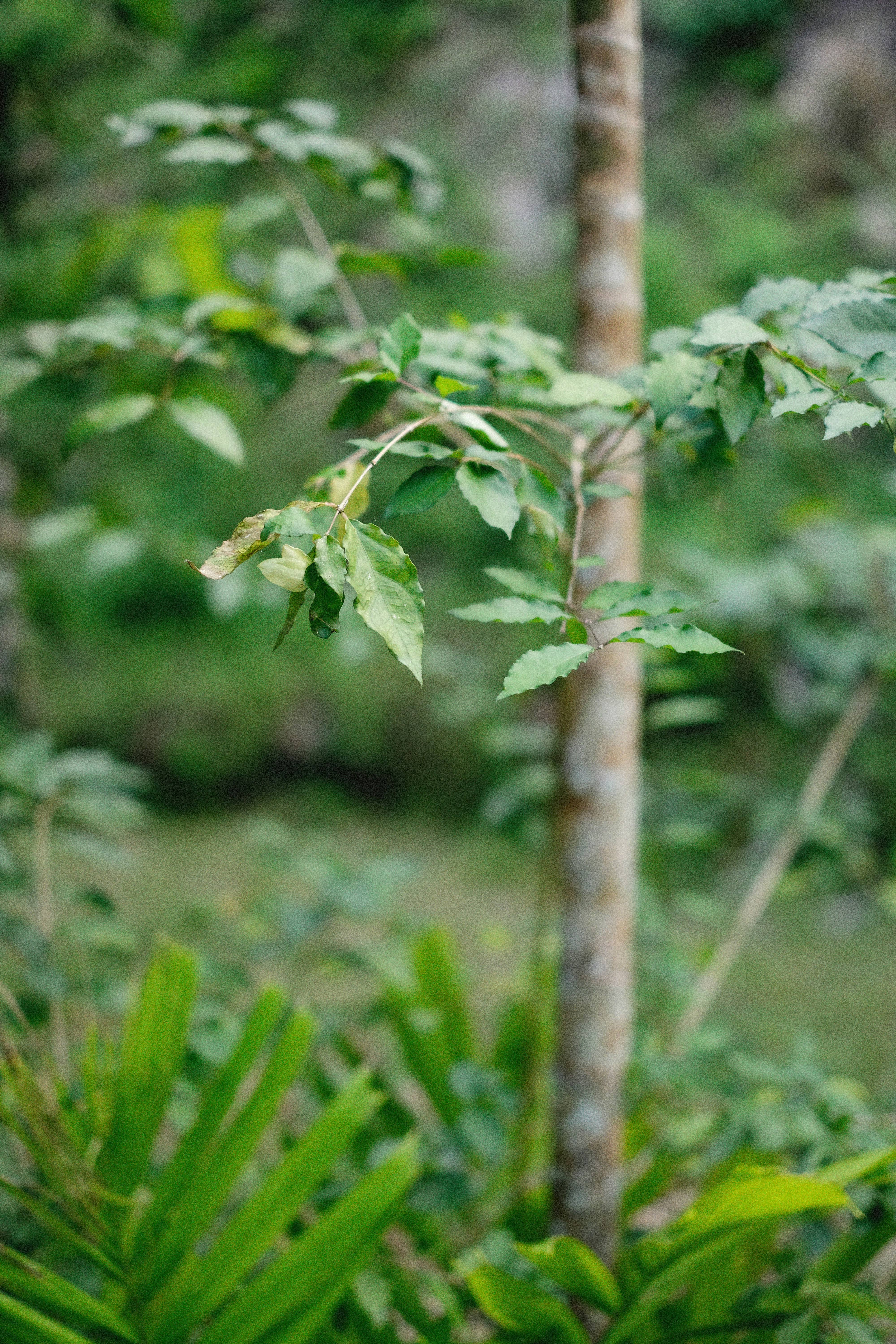 Photo by alexeydemidov