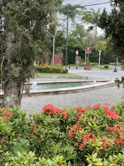 a small pond in a park