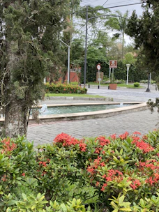 a small pond in a park