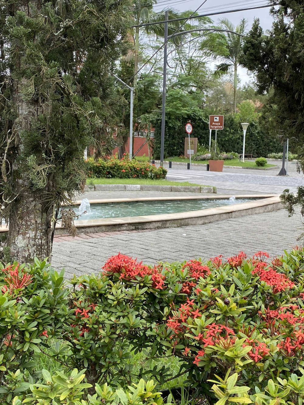Un petit étang dans un parc