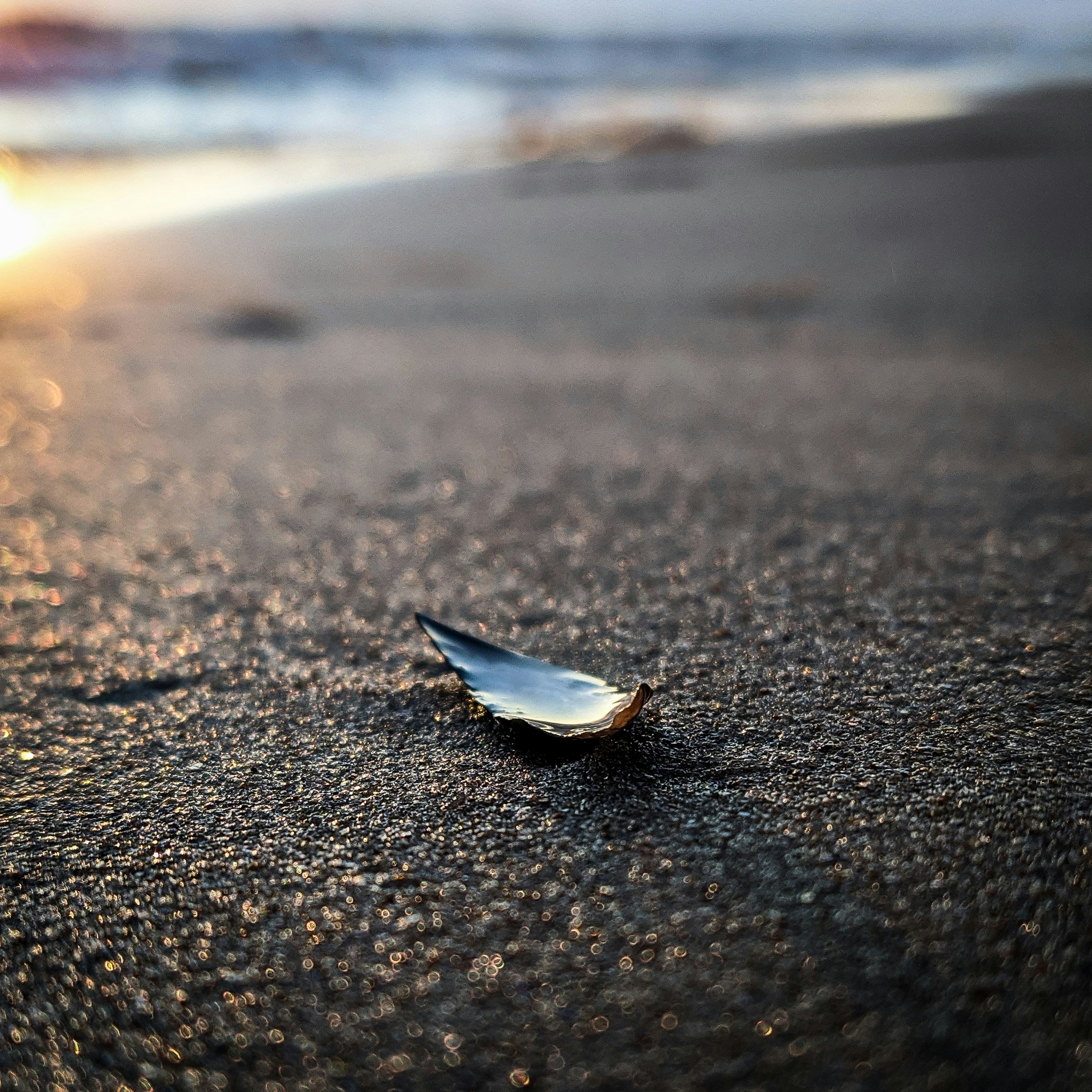 Photo by alexshuperart