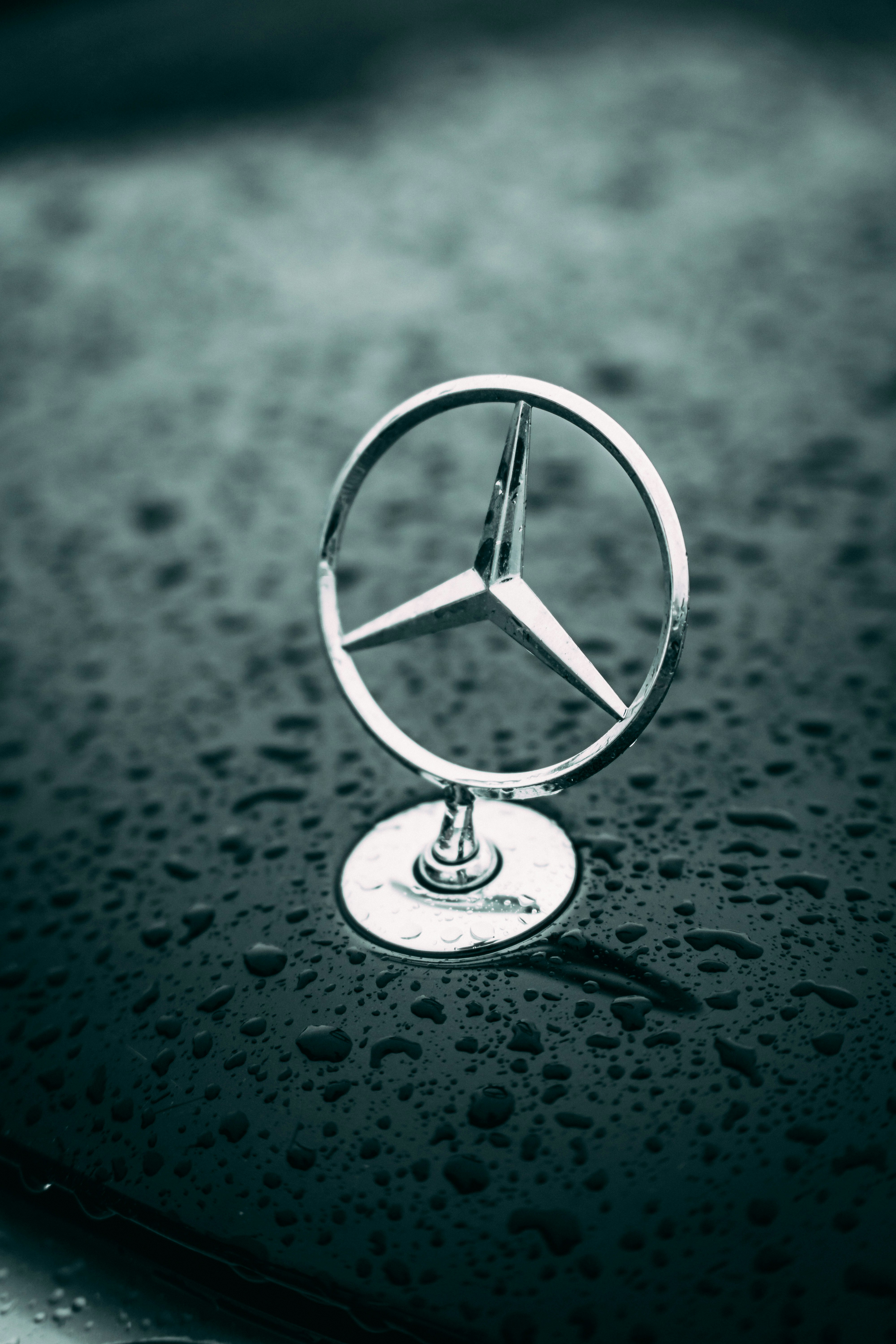 Photo by amanpreetdeol1