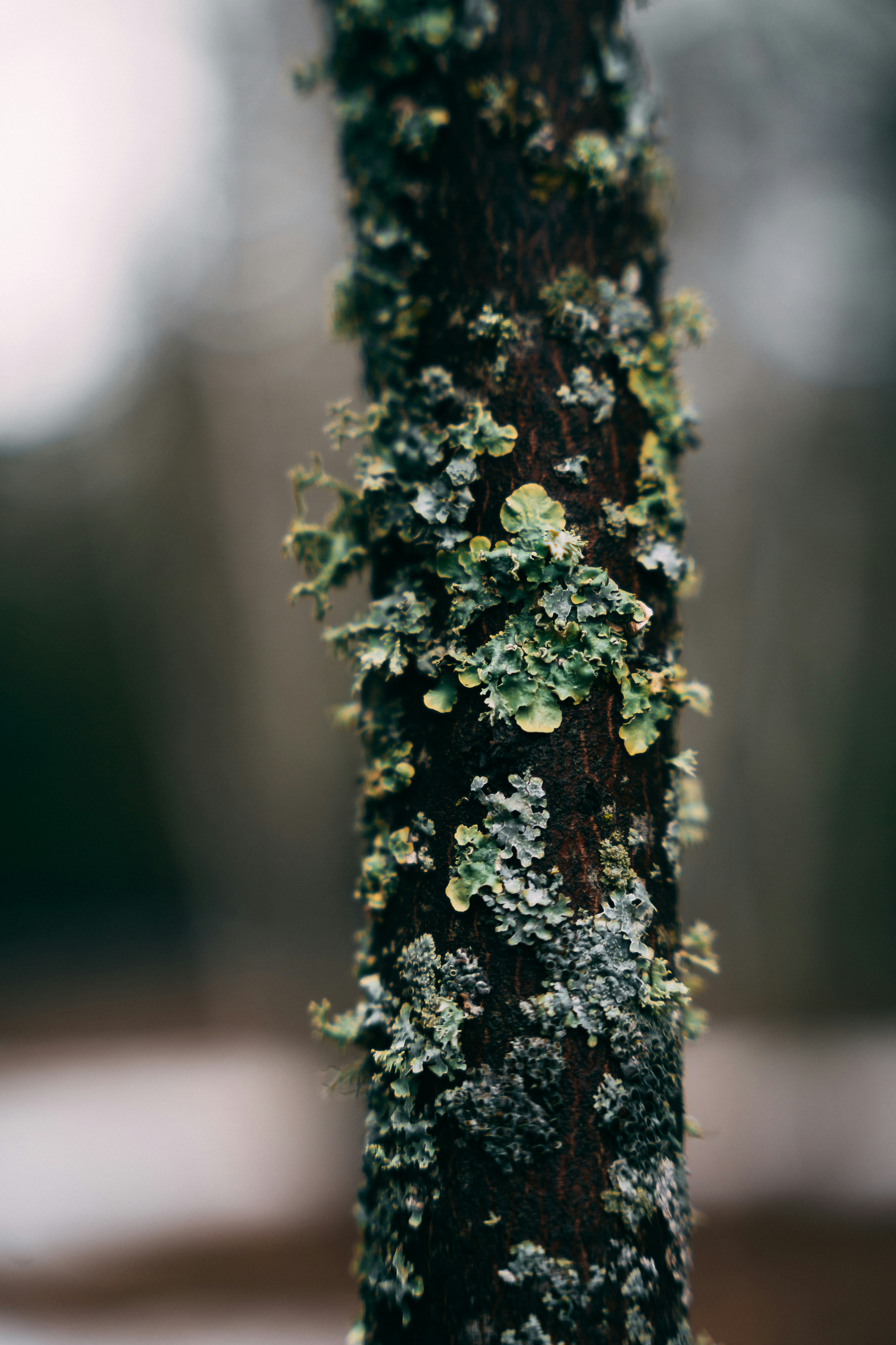 Photo by amanpreetdeol1