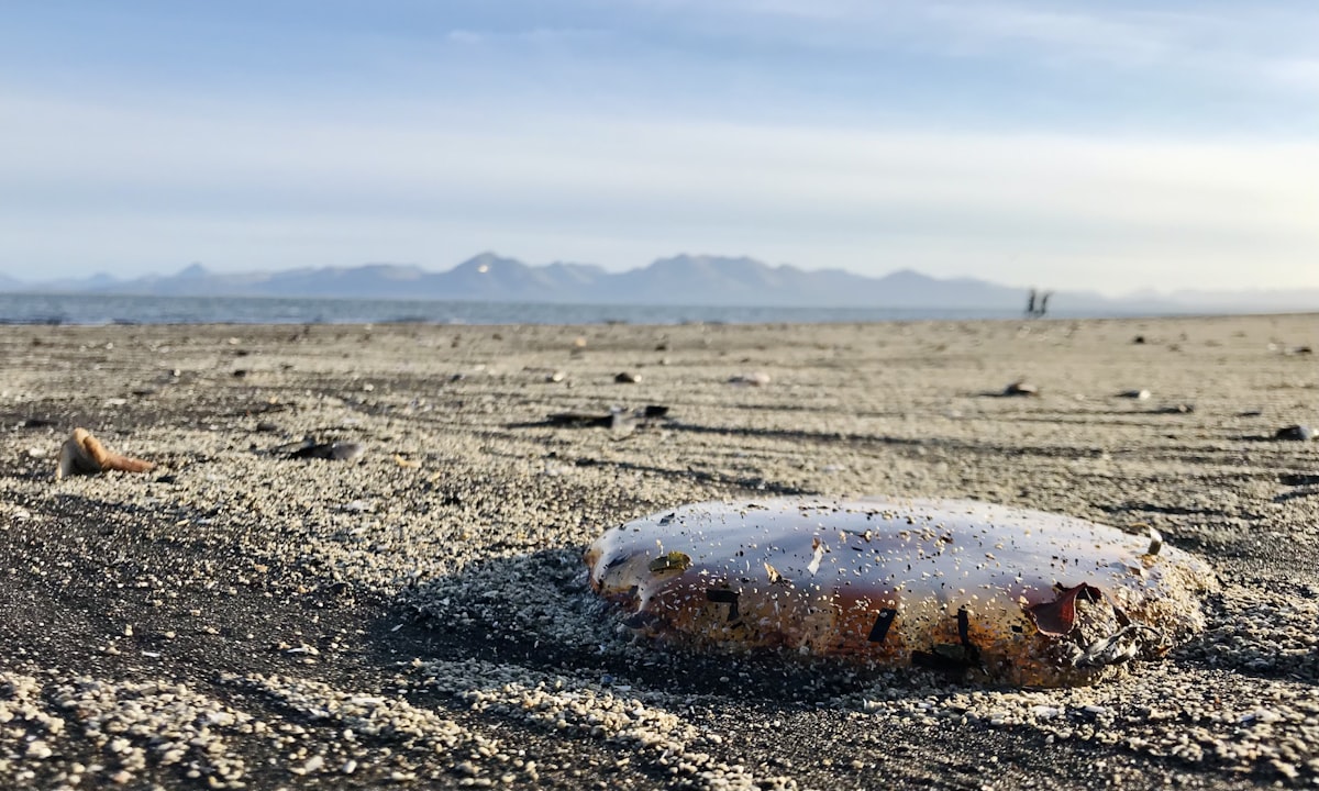 Zerbrochene Zigarette am Boden als Symbol für einen entschlossenen Rauchstopp